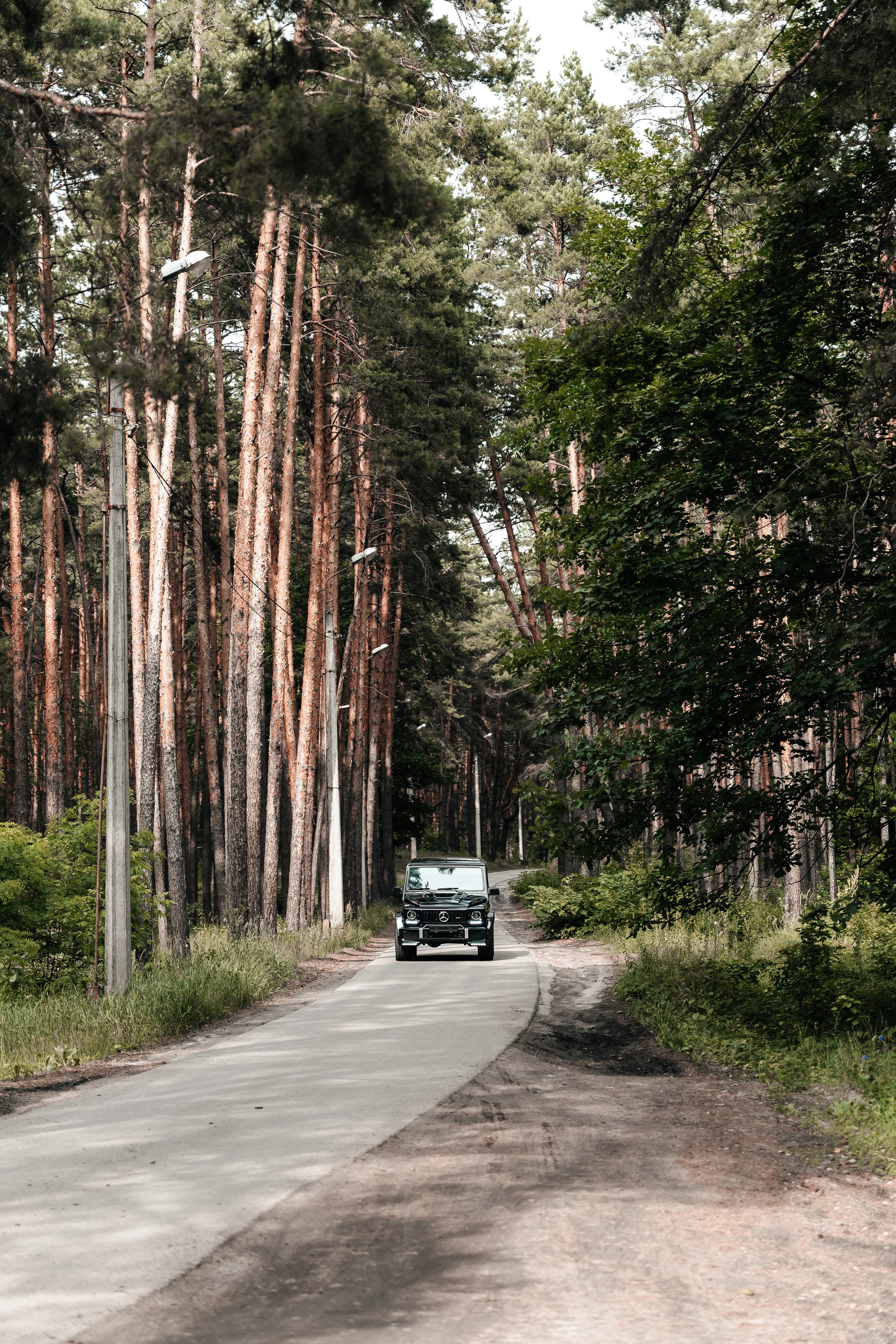 Андрей и Алина. Фотограф Екатерина Бочарникова