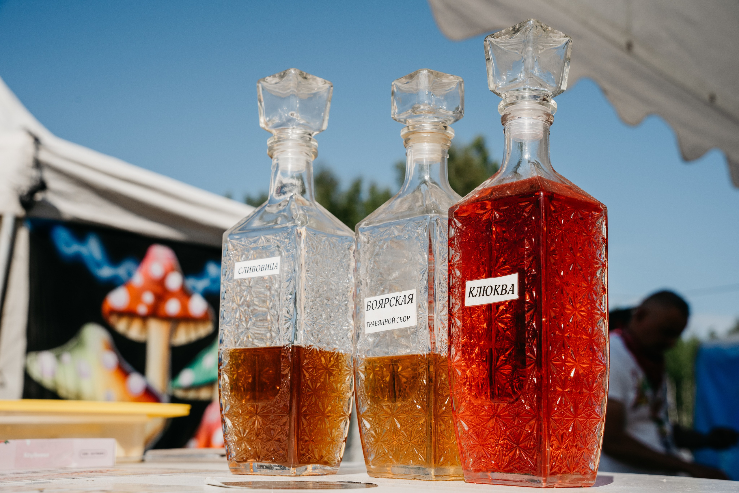 Мероприятия. Фотограф в Москве и Московской области Стефанов Илья