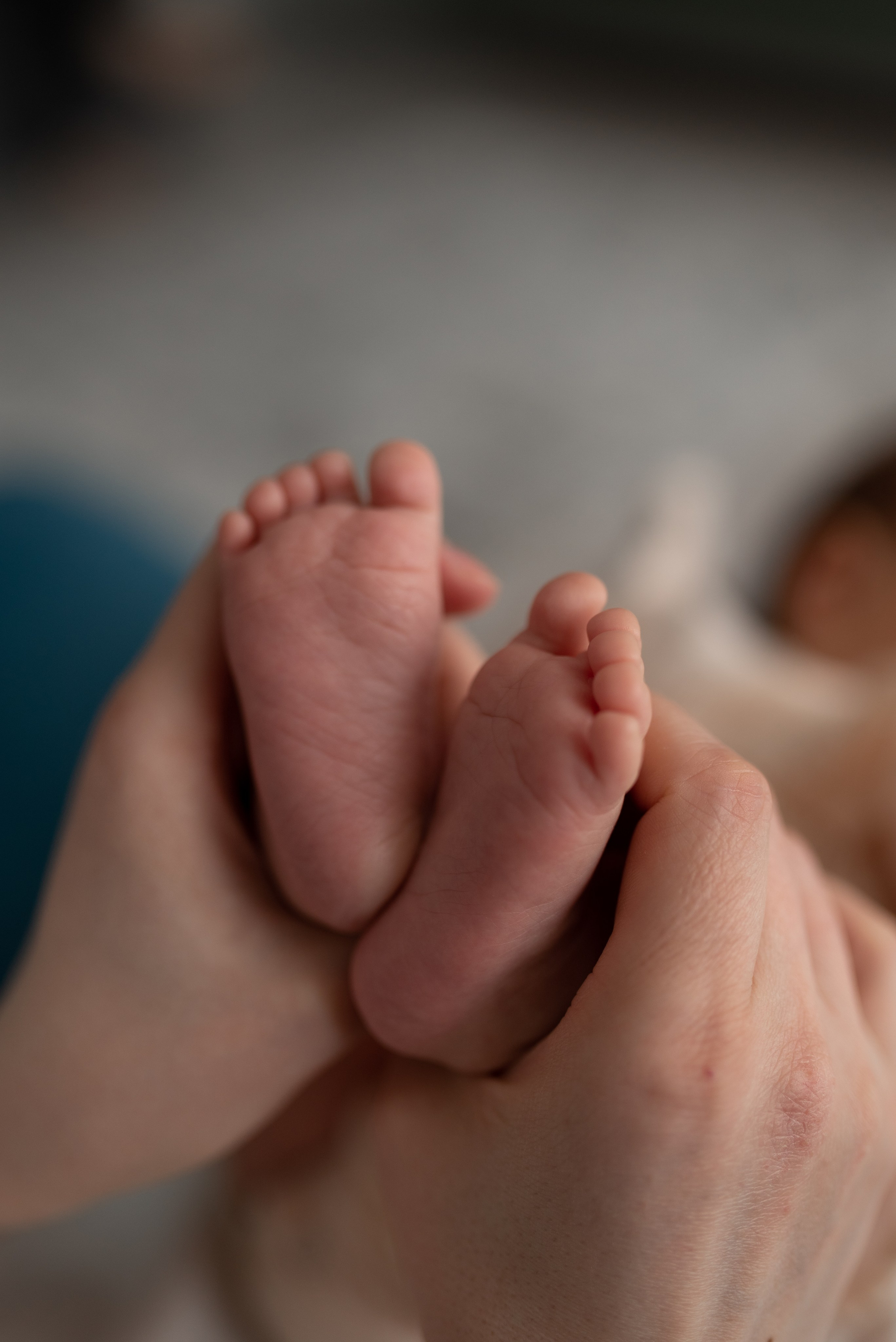 Вика Дима Никита и Полиночка. Семейный фотограф Ирина Сгибнева