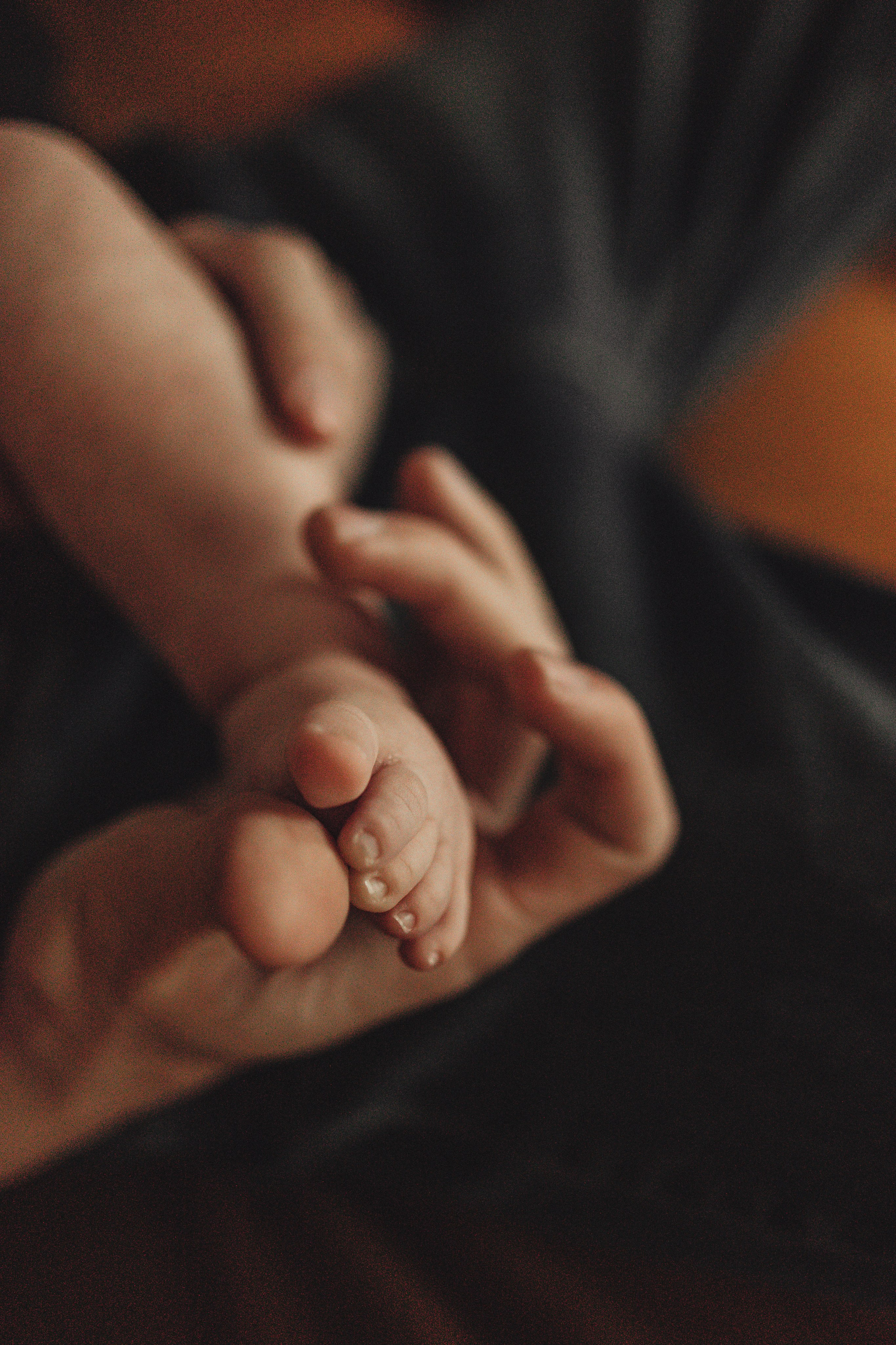 Семейная история. Семейный и детский фотограф, таганрог, ростов-на-дону