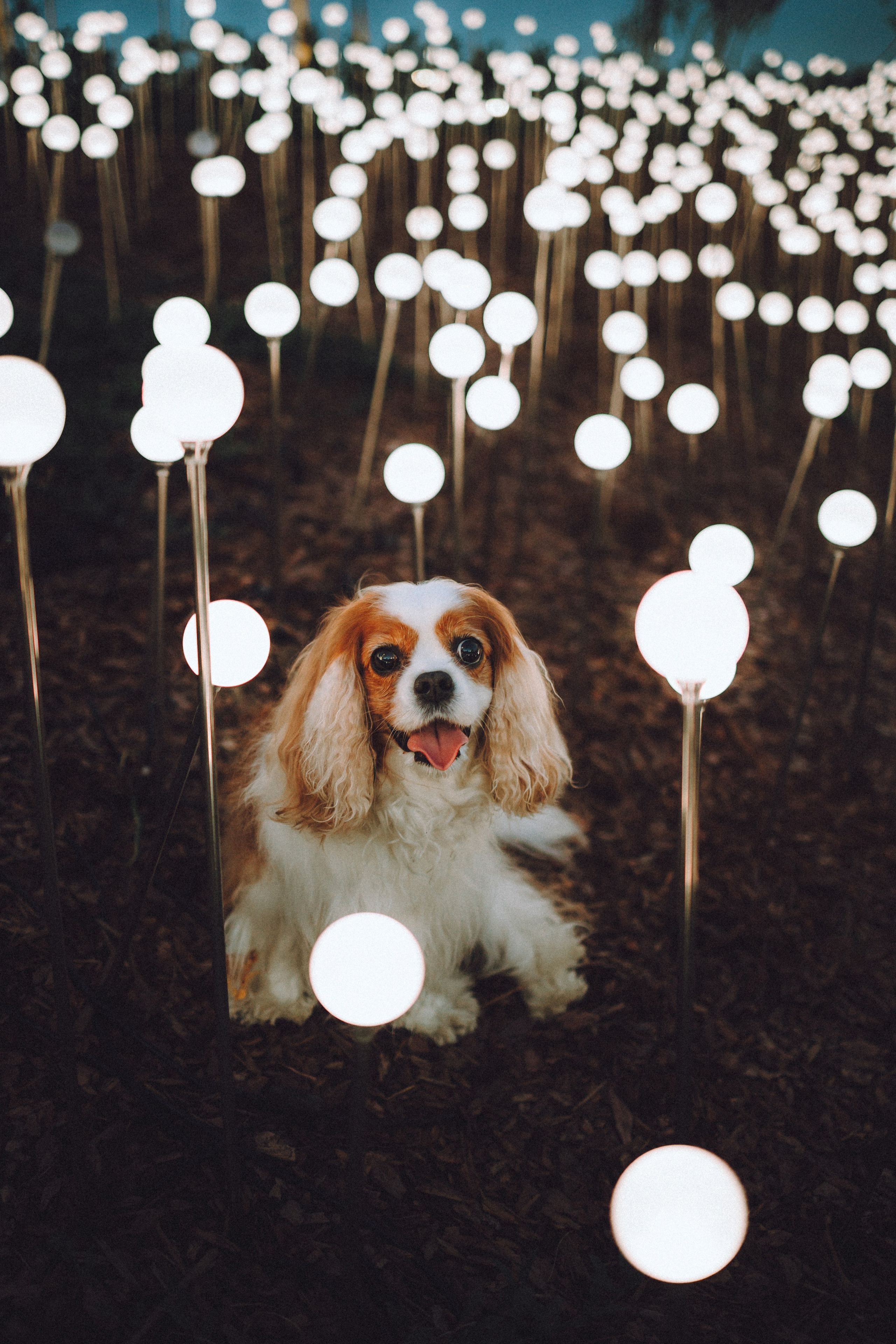 Наташа и Вики