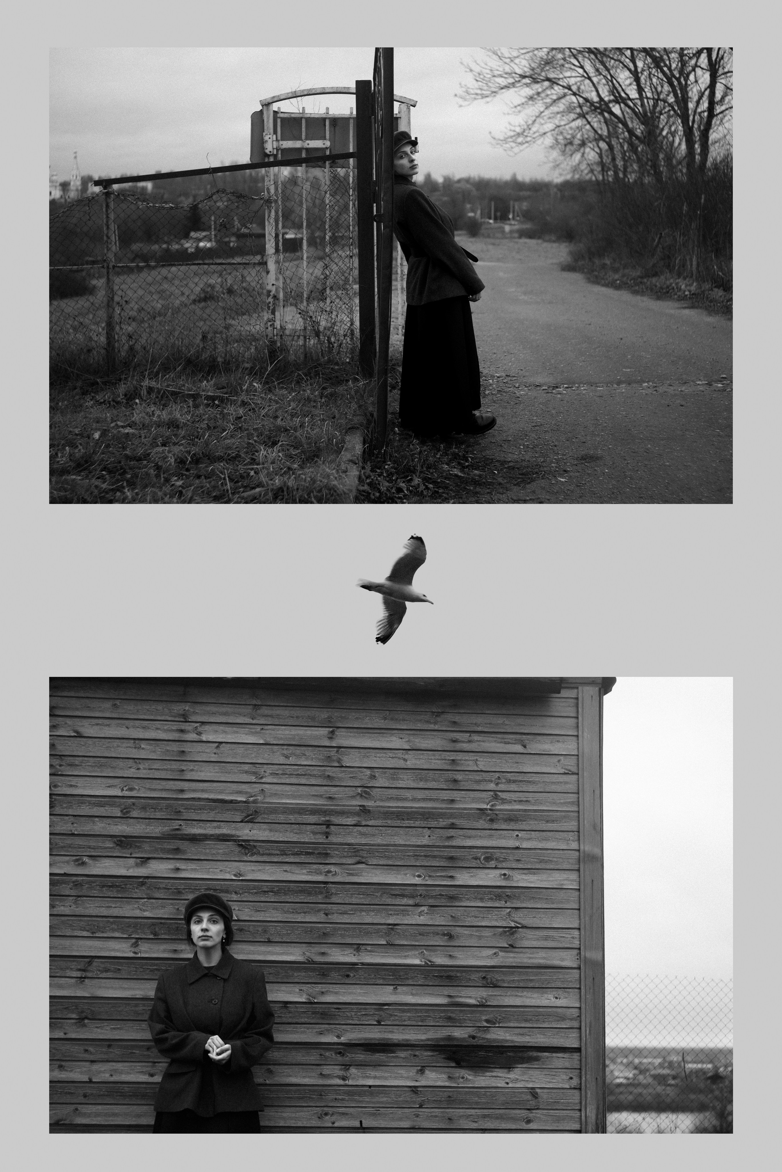 Алла (дворец Бельведер). Непарадное в парадных