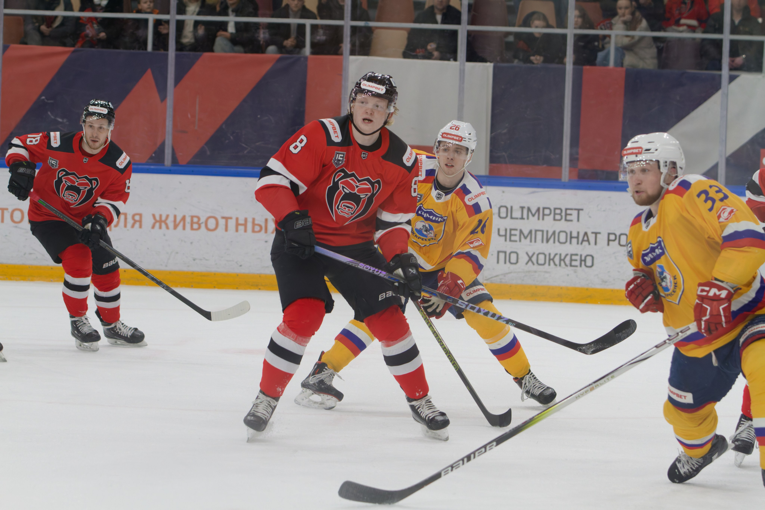 Хоккей. Молот-Химик 12.02.2025. Репортажный и спортивный фотограф в г. Пермь Зильберг Павел
