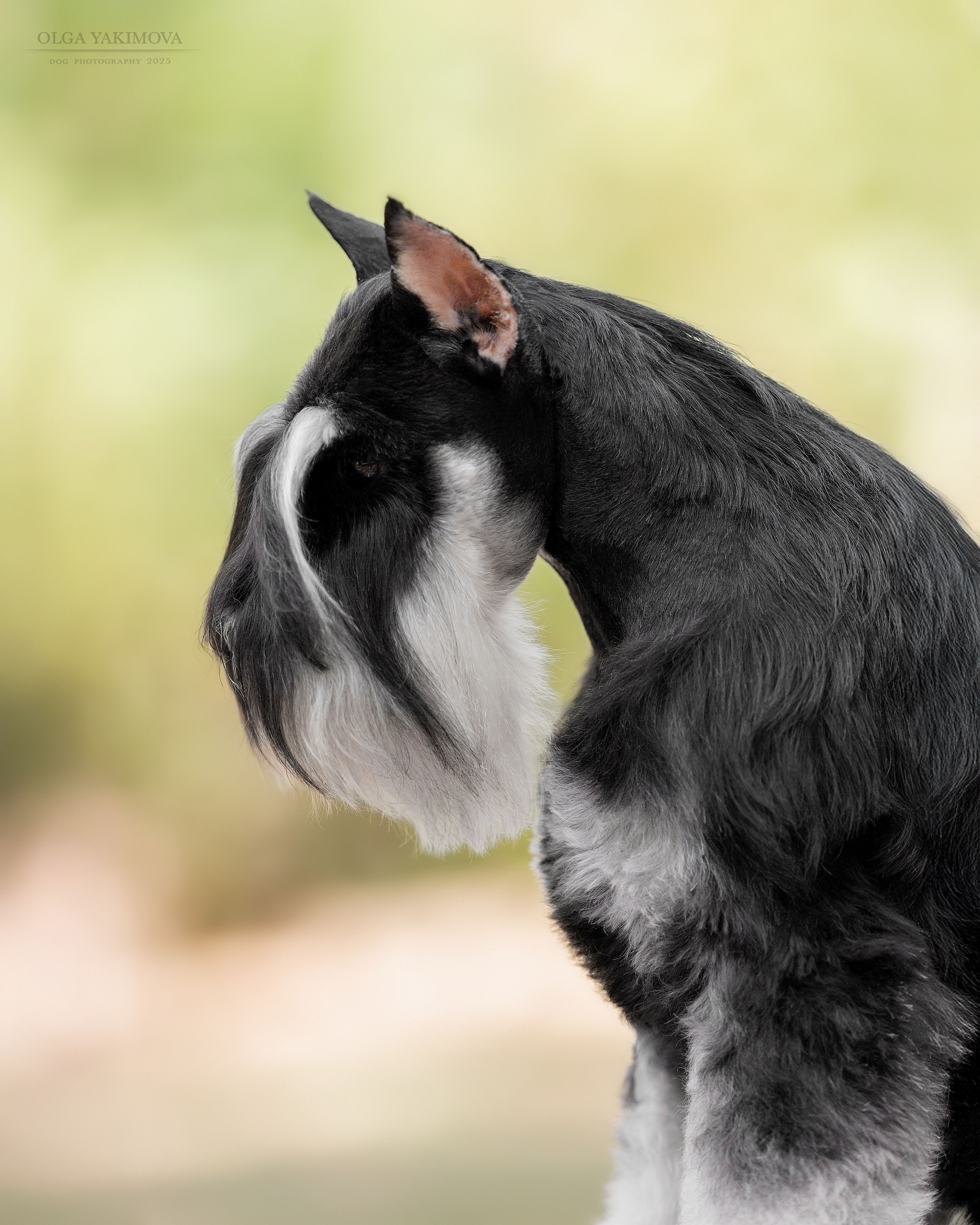 Экстерьер. Фотограф