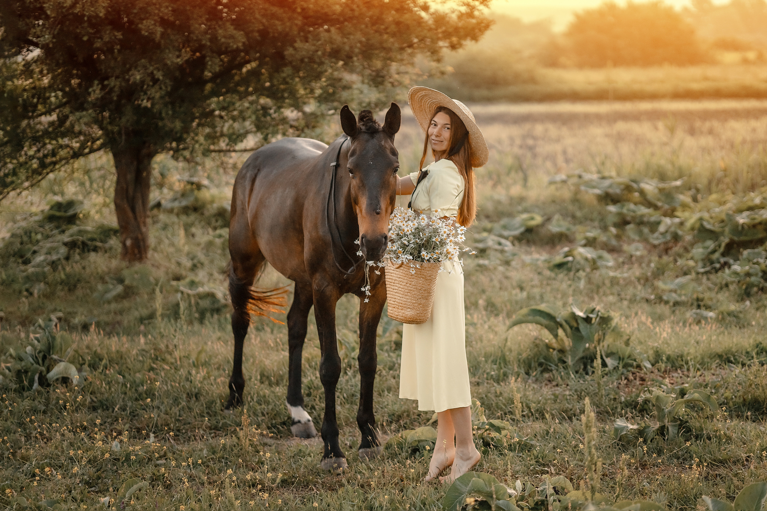 Лошади. Художественный фотограф Анапа Александра Долбикова