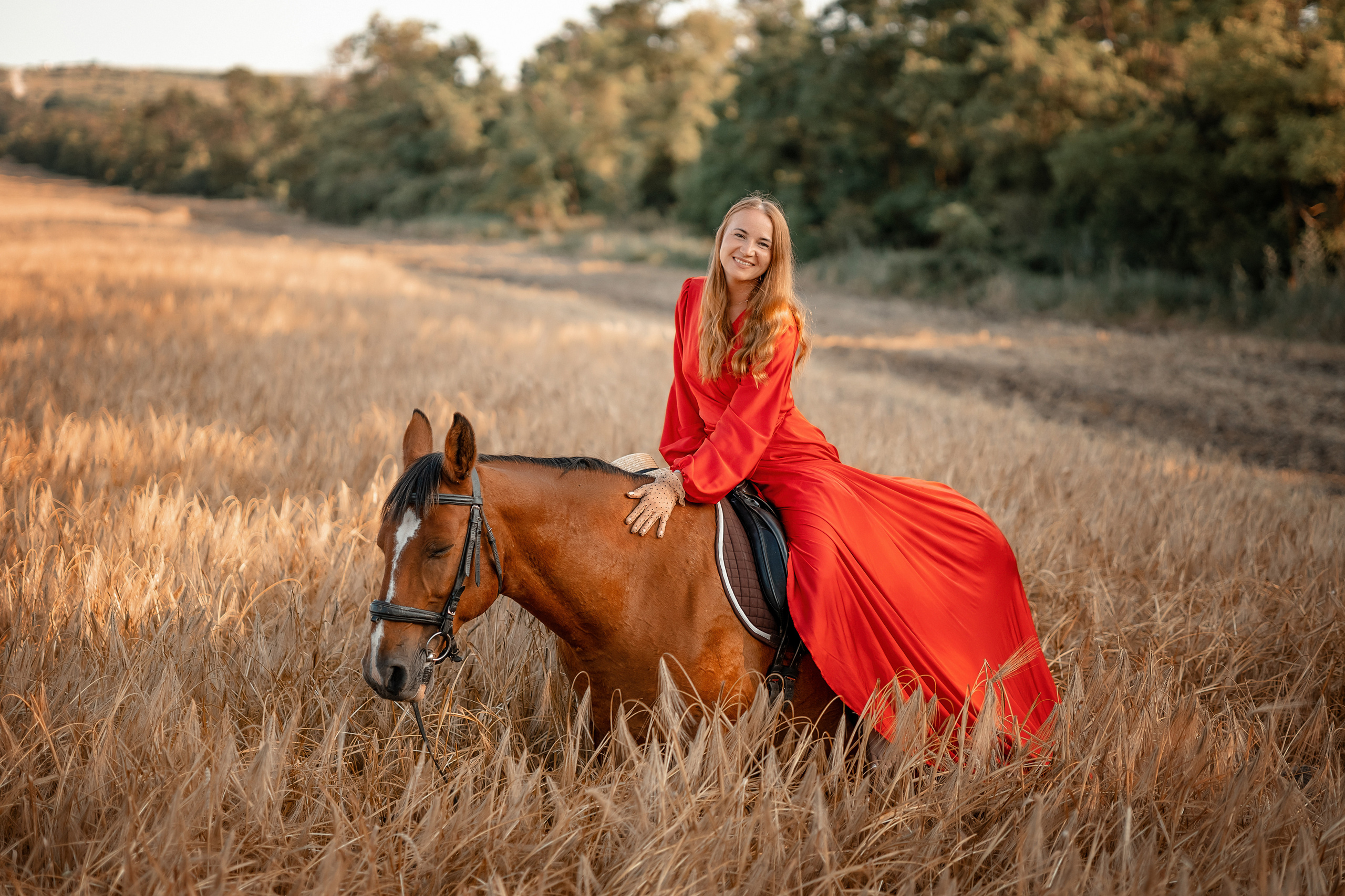 Лошади. Художественный фотограф Анапа Александра Долбикова