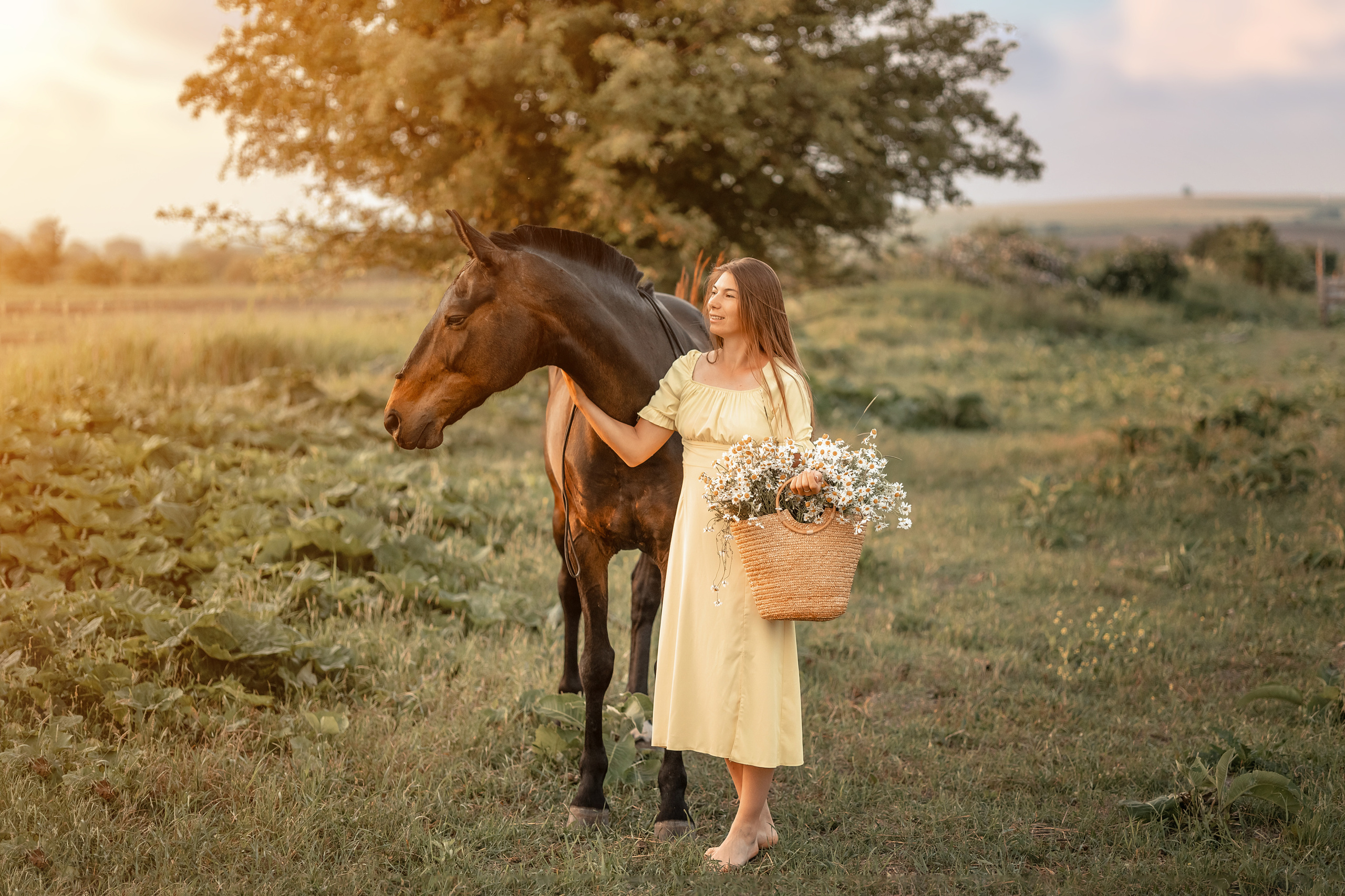 Лошади. Художественный фотограф Анапа Александра Долбикова