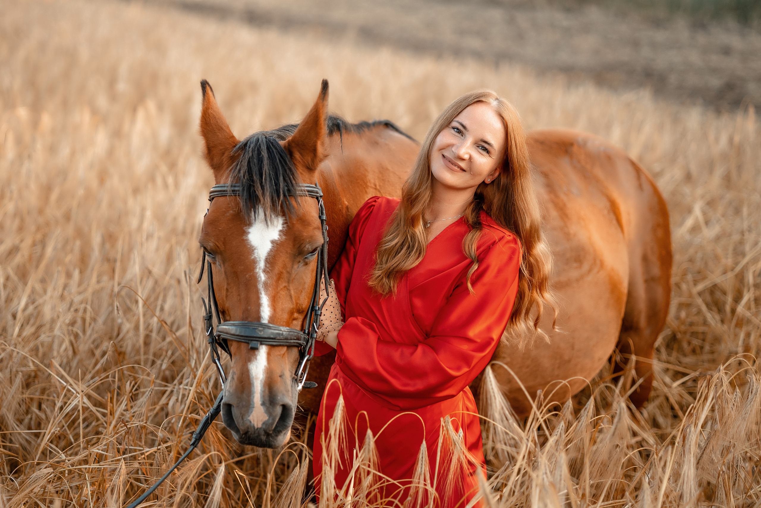 Лошади. Художественный фотограф Анапа Александра Долбикова