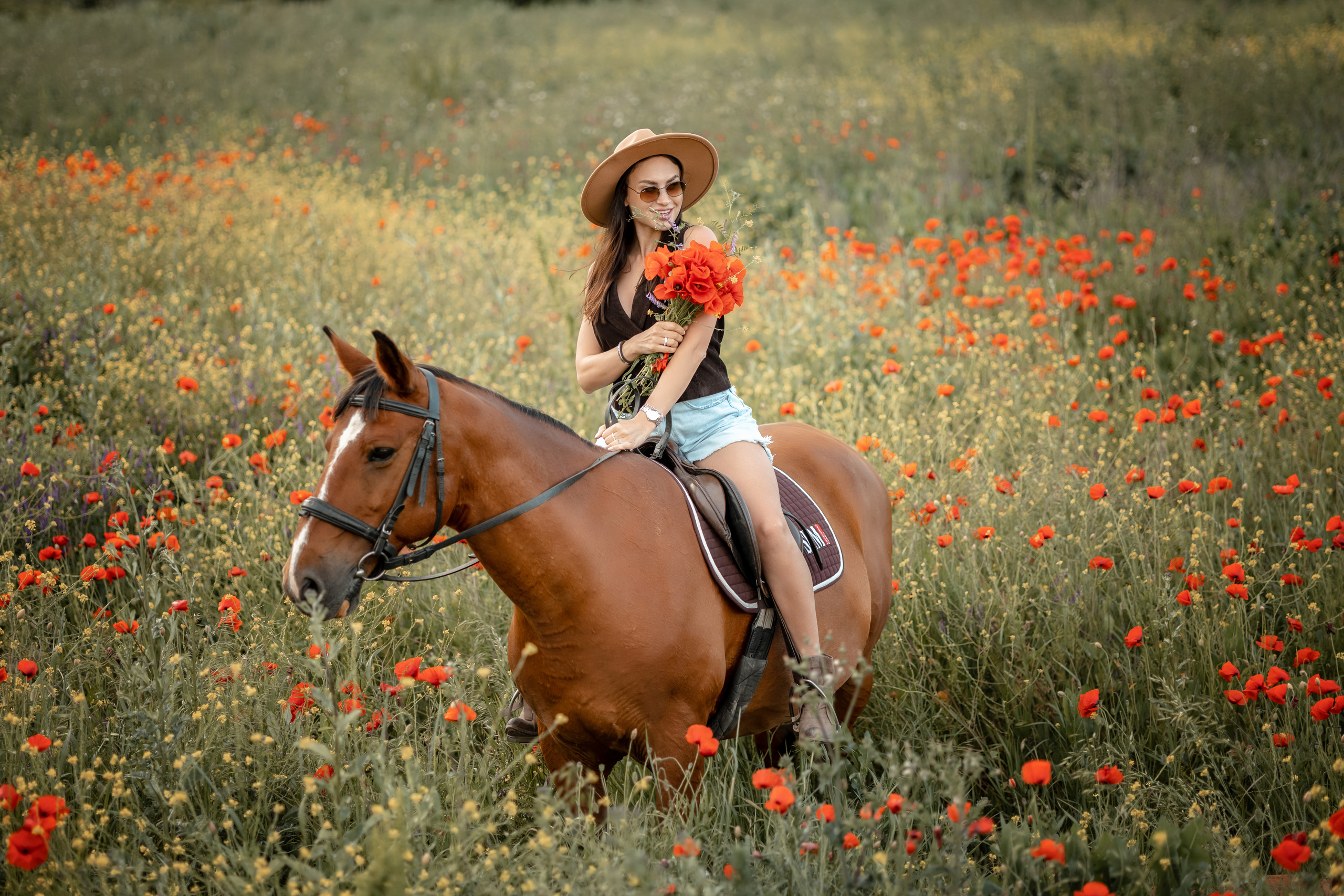 Лошади. Художественный фотограф Анапа Александра Долбикова