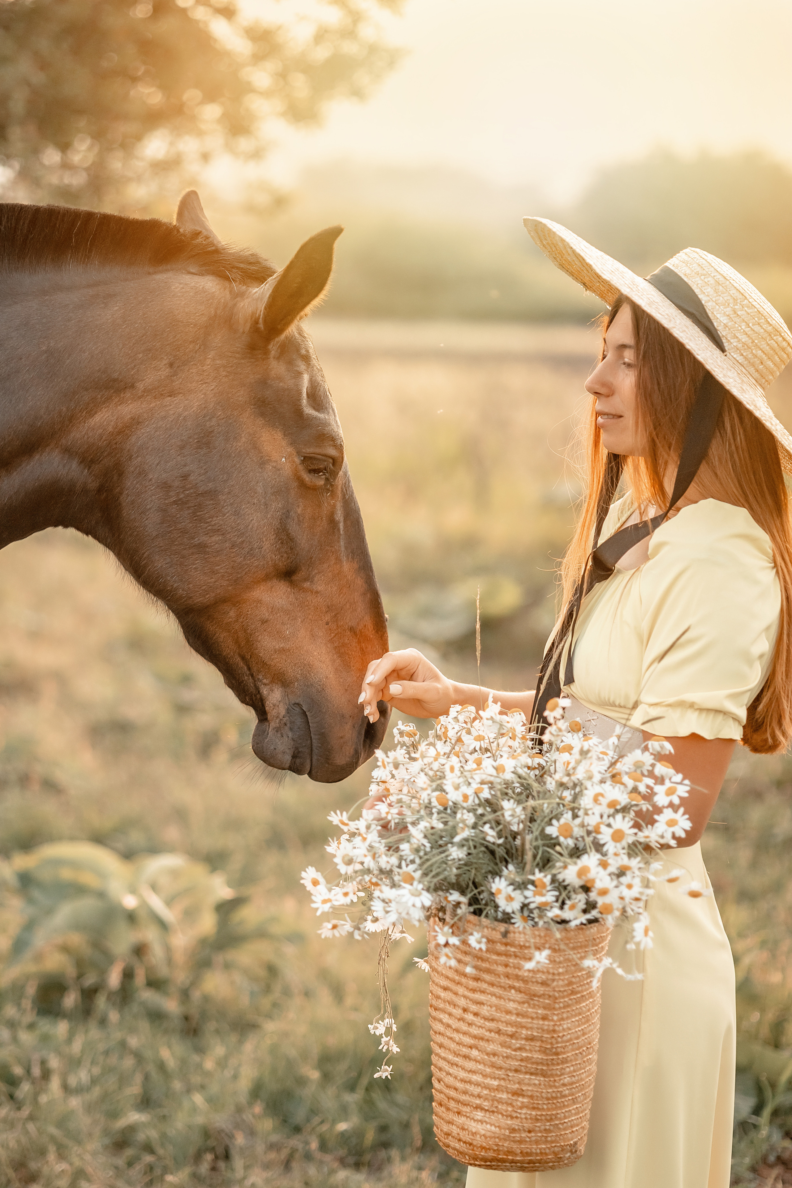 Лошади. Художественный фотограф Анапа Александра Долбикова