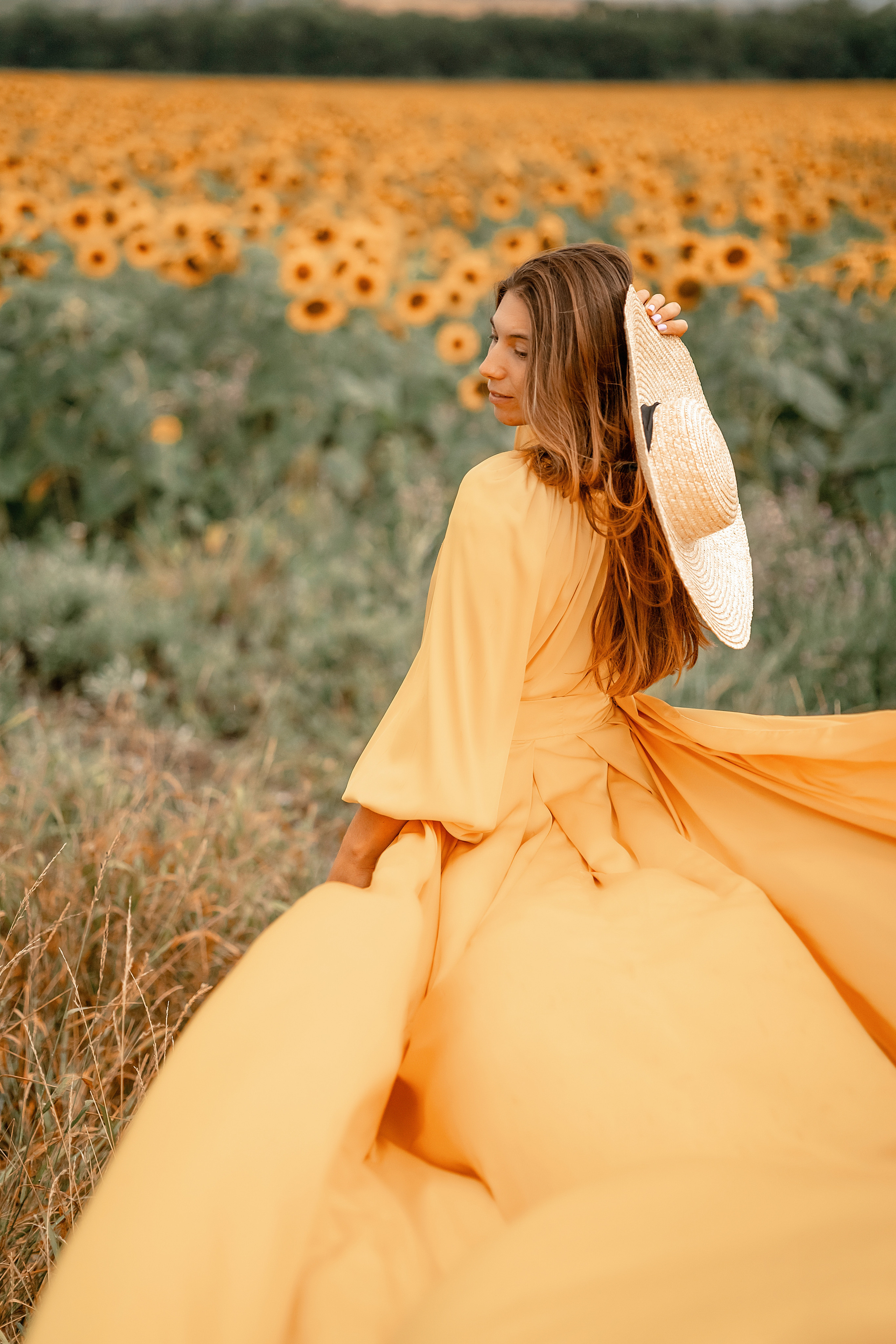 Солнечные подсолнухи. Художественный фотограф Анапа Александра Долбикова