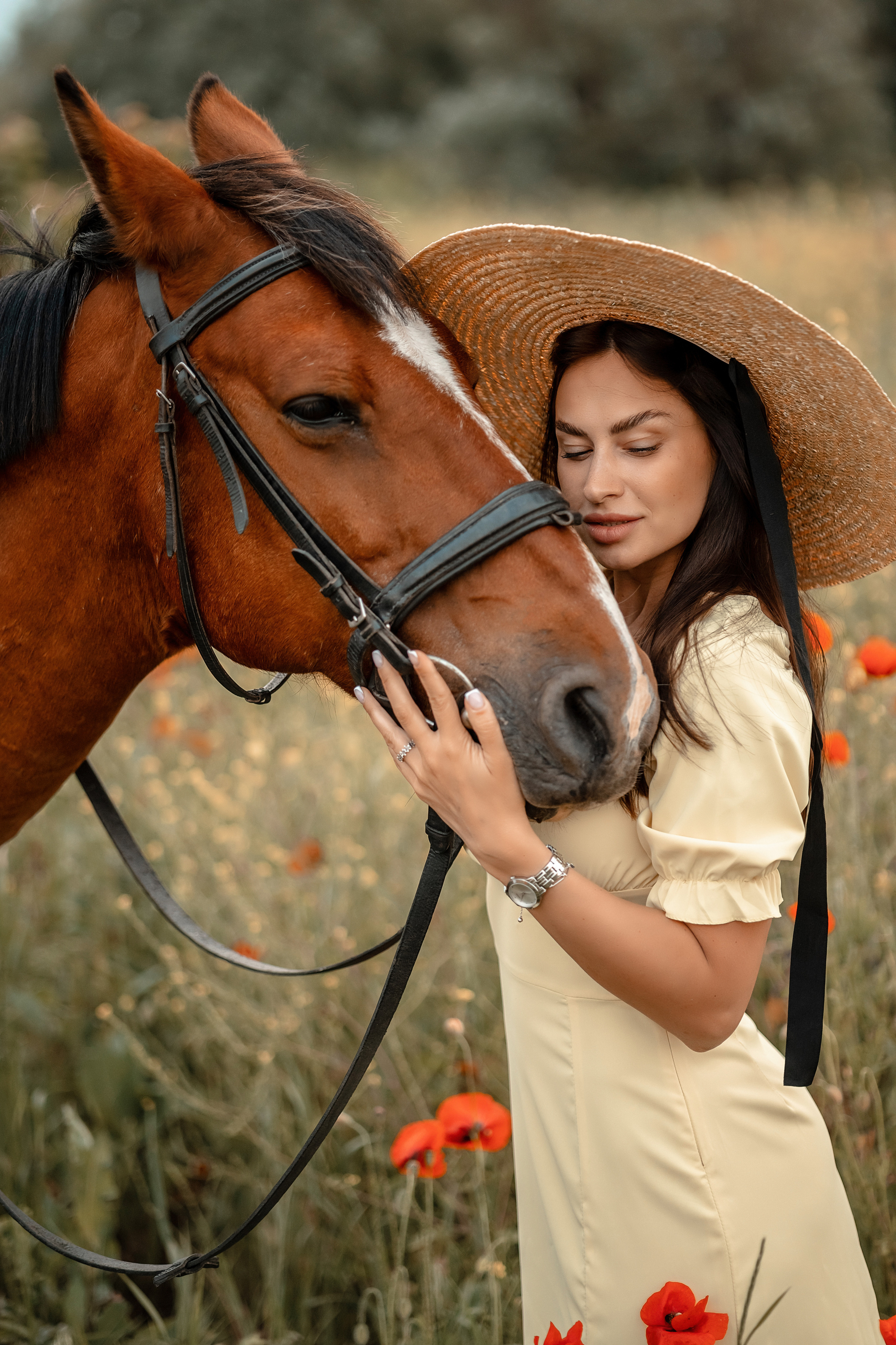 Лошади. Художественный фотограф Анапа Александра Долбикова