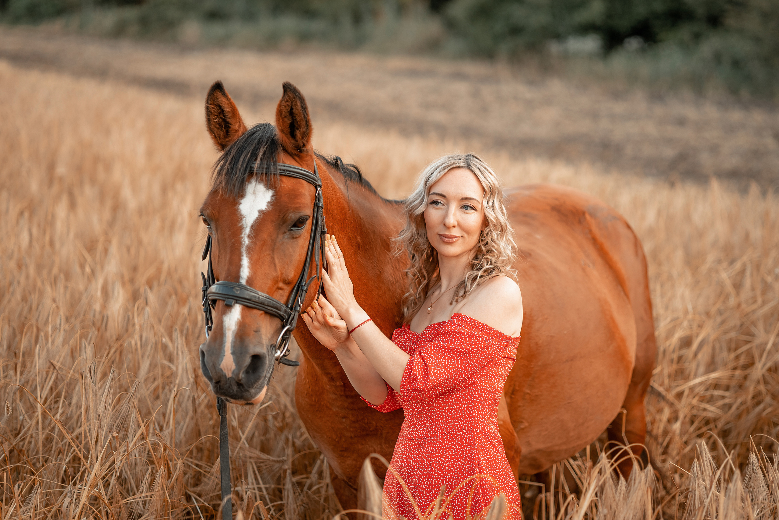Лошади. Художественный фотограф Анапа Александра Долбикова