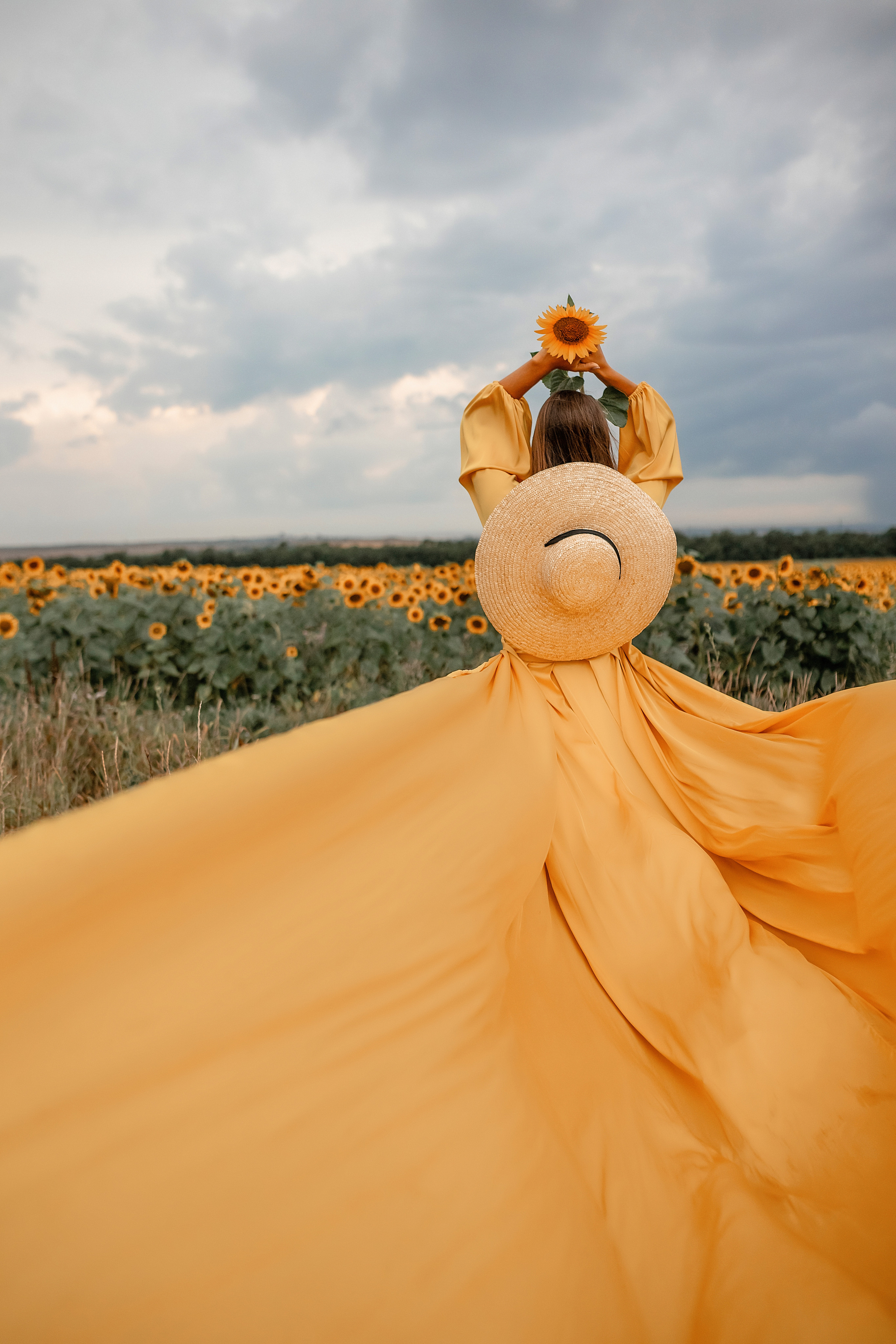 Солнечные подсолнухи. Художественный фотограф Анапа Александра Долбикова