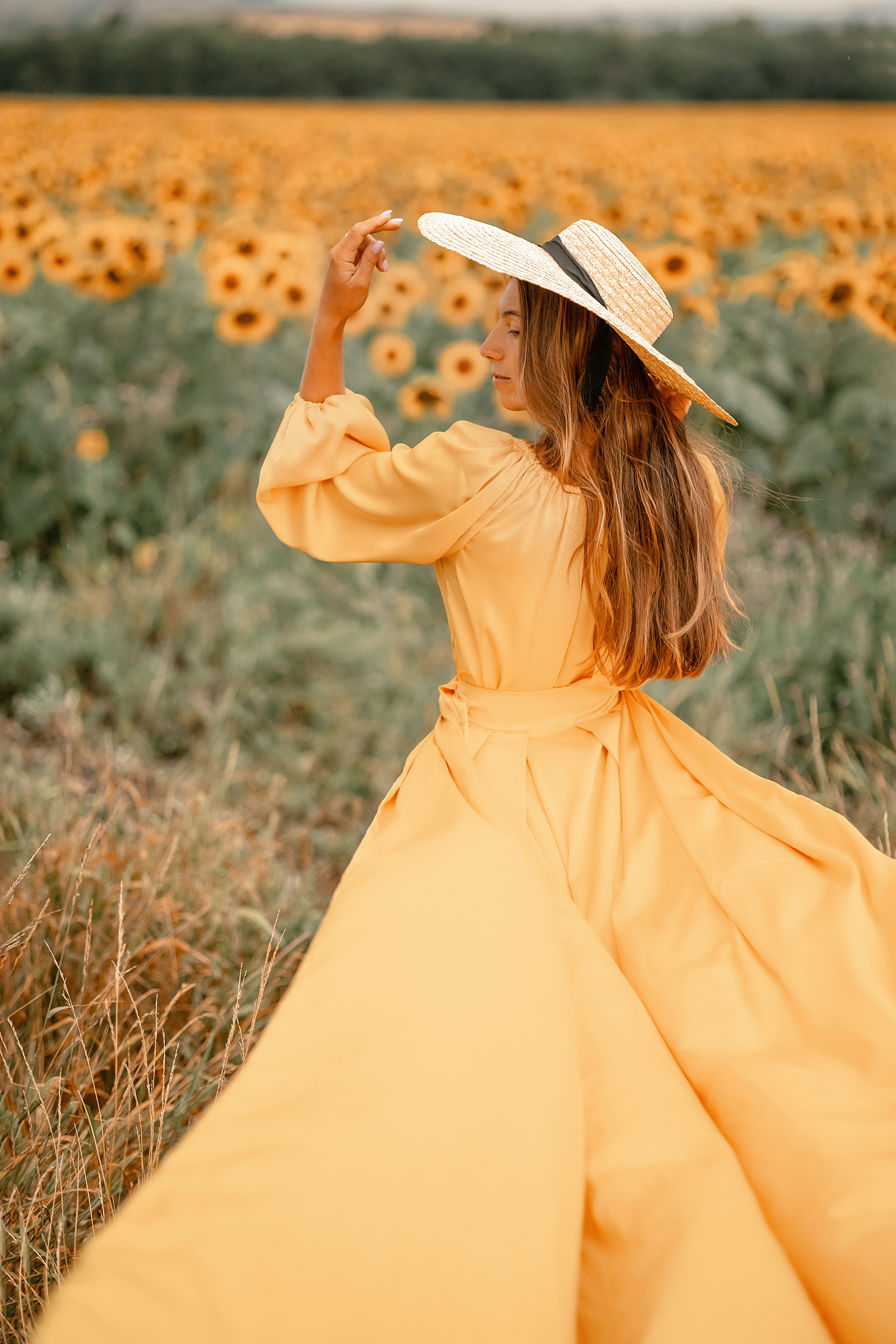 Солнечные подсолнухи. Художественный фотограф Анапа Александра Долбикова