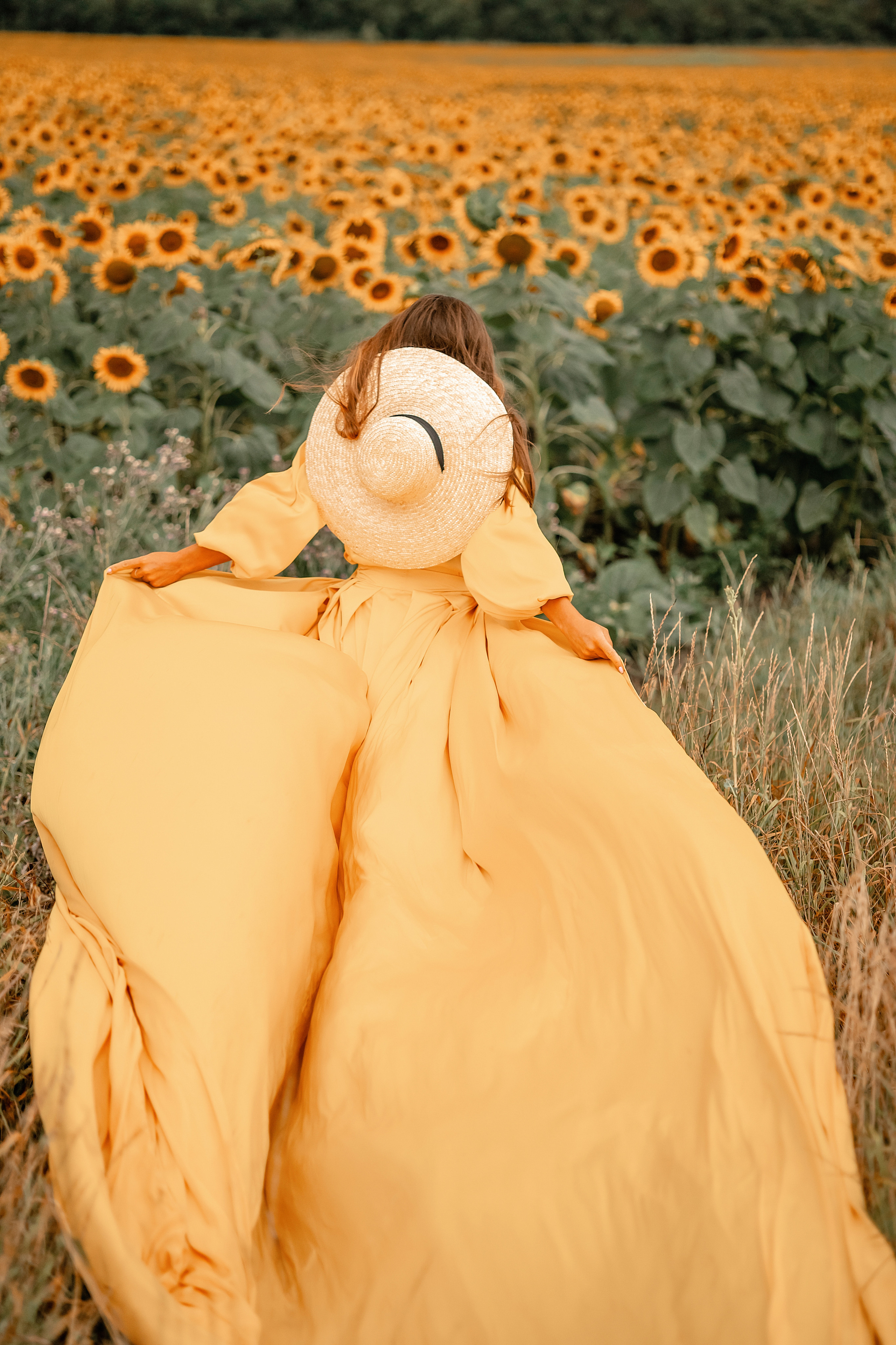 Солнечные подсолнухи. Художественный фотограф Анапа Александра Долбикова