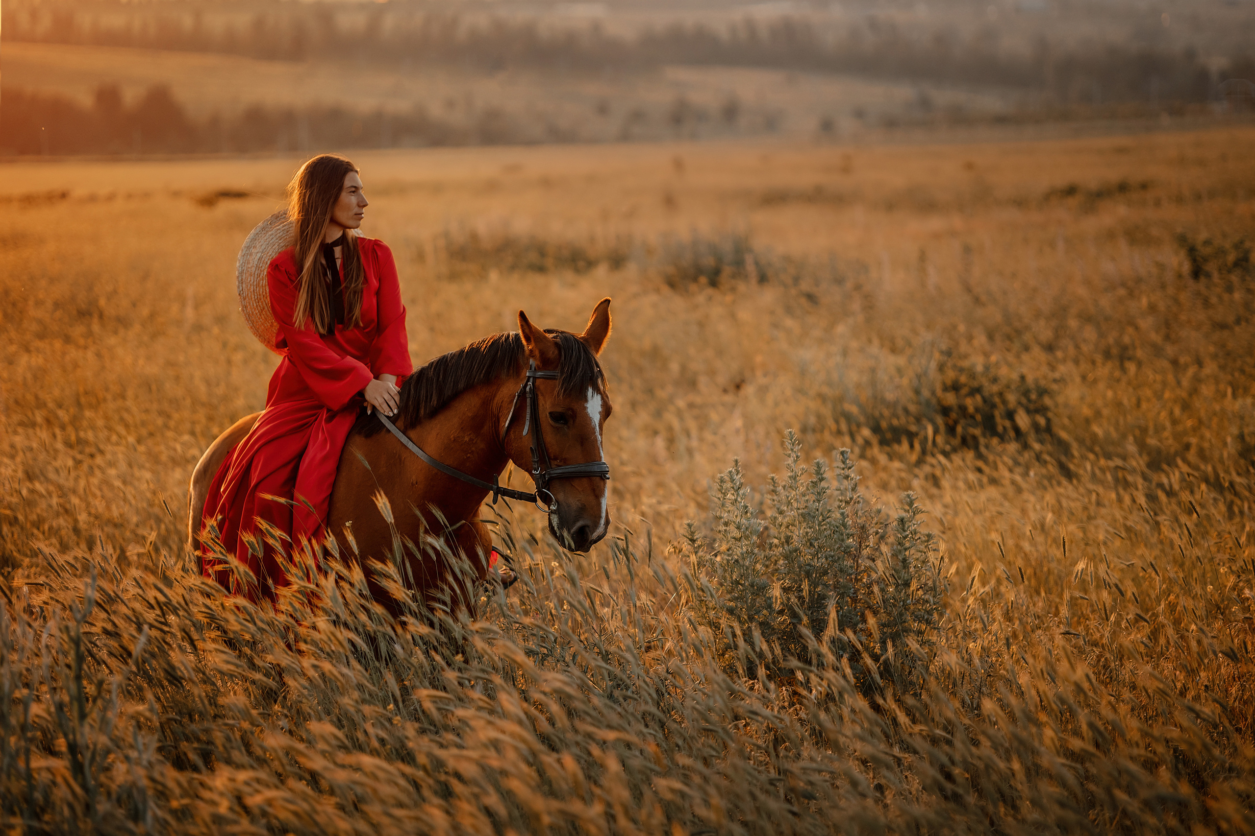Лошади. Художественный фотограф Анапа Александра Долбикова