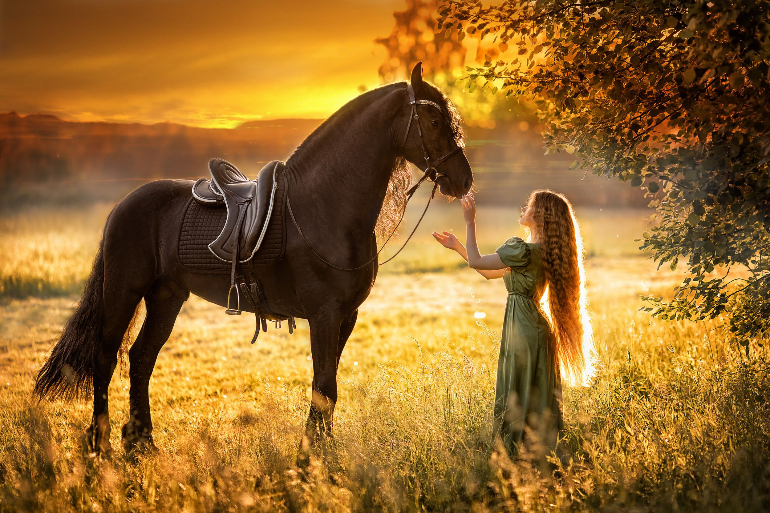 ФОТОСЕССИЯ С ЛОШАДЬМИ. Фотограф Москва