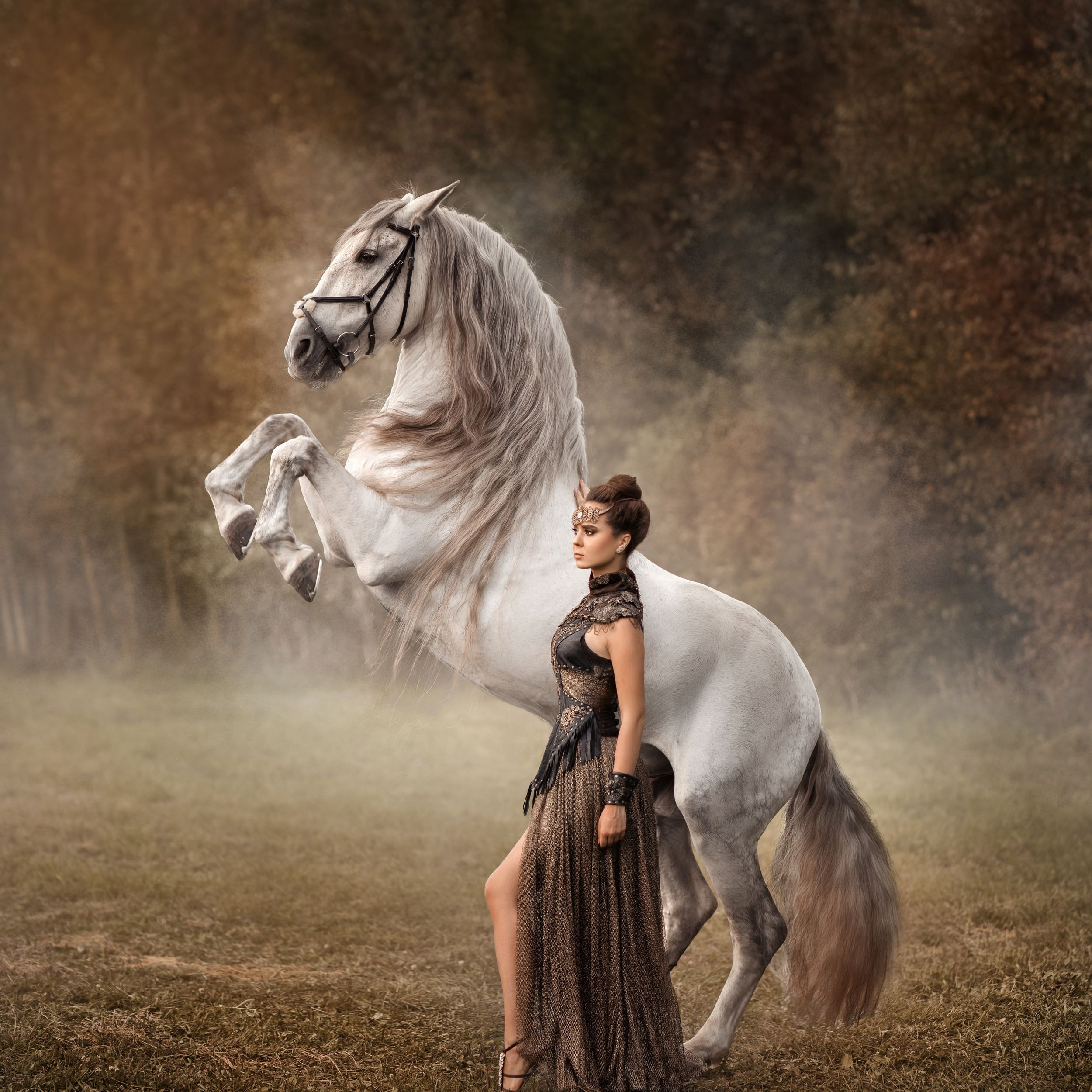 ФОТОСЕССИЯ С ЛОШАДЬМИ. Фотограф Москва