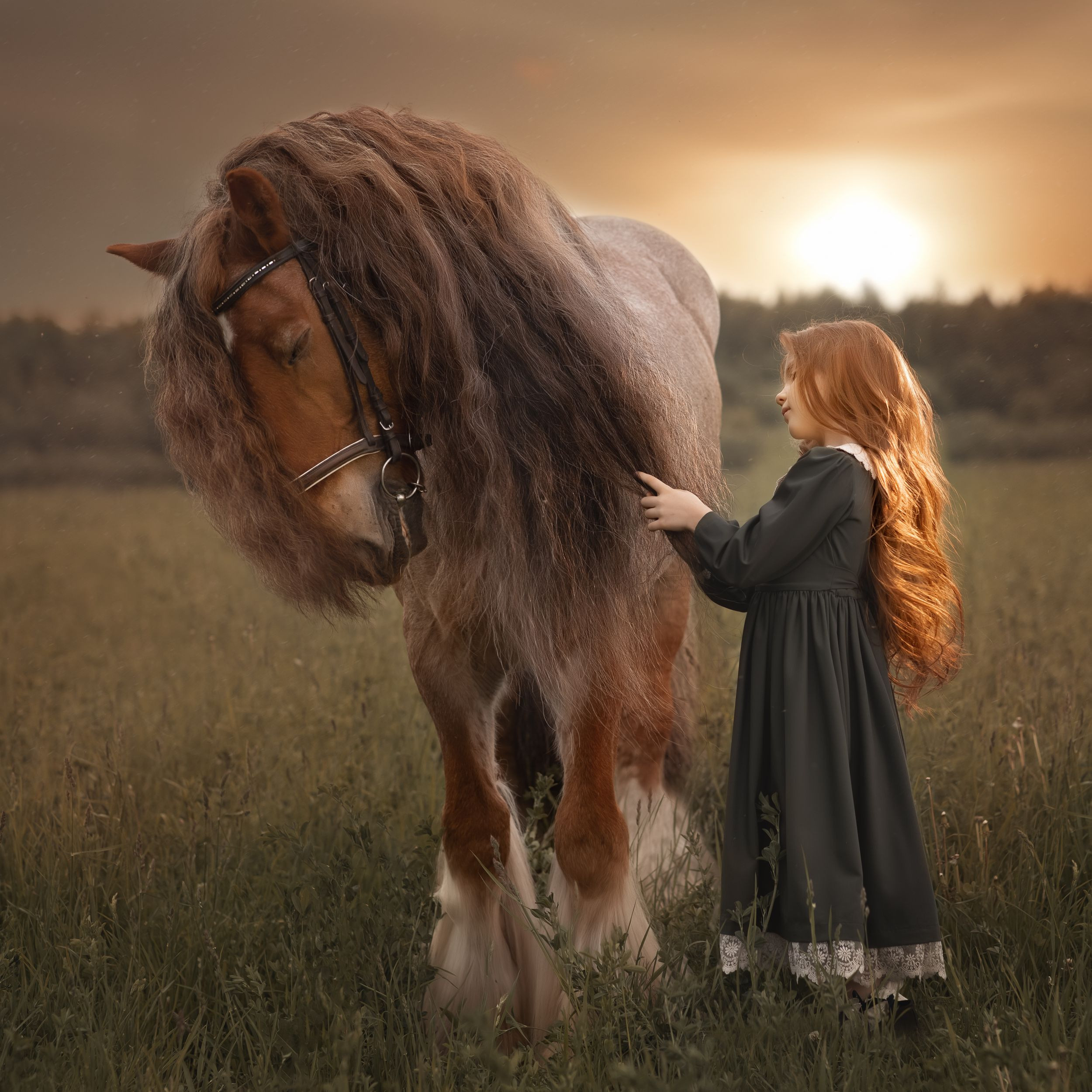 ФОТОСЕССИЯ С ЛОШАДЬМИ. Фотограф Москва