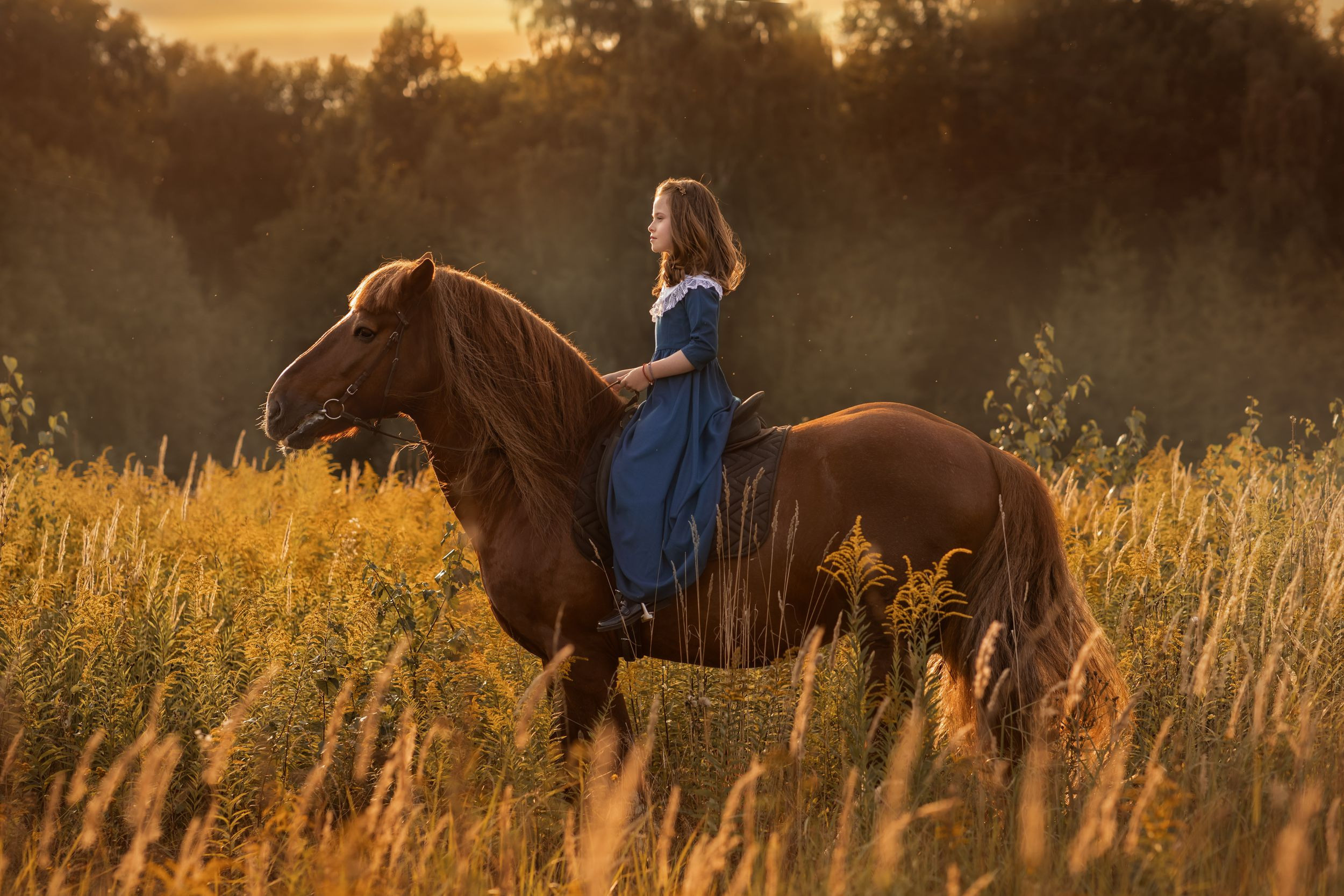 ФОТОСЕССИЯ С ЛОШАДЬМИ. Фотограф Москва