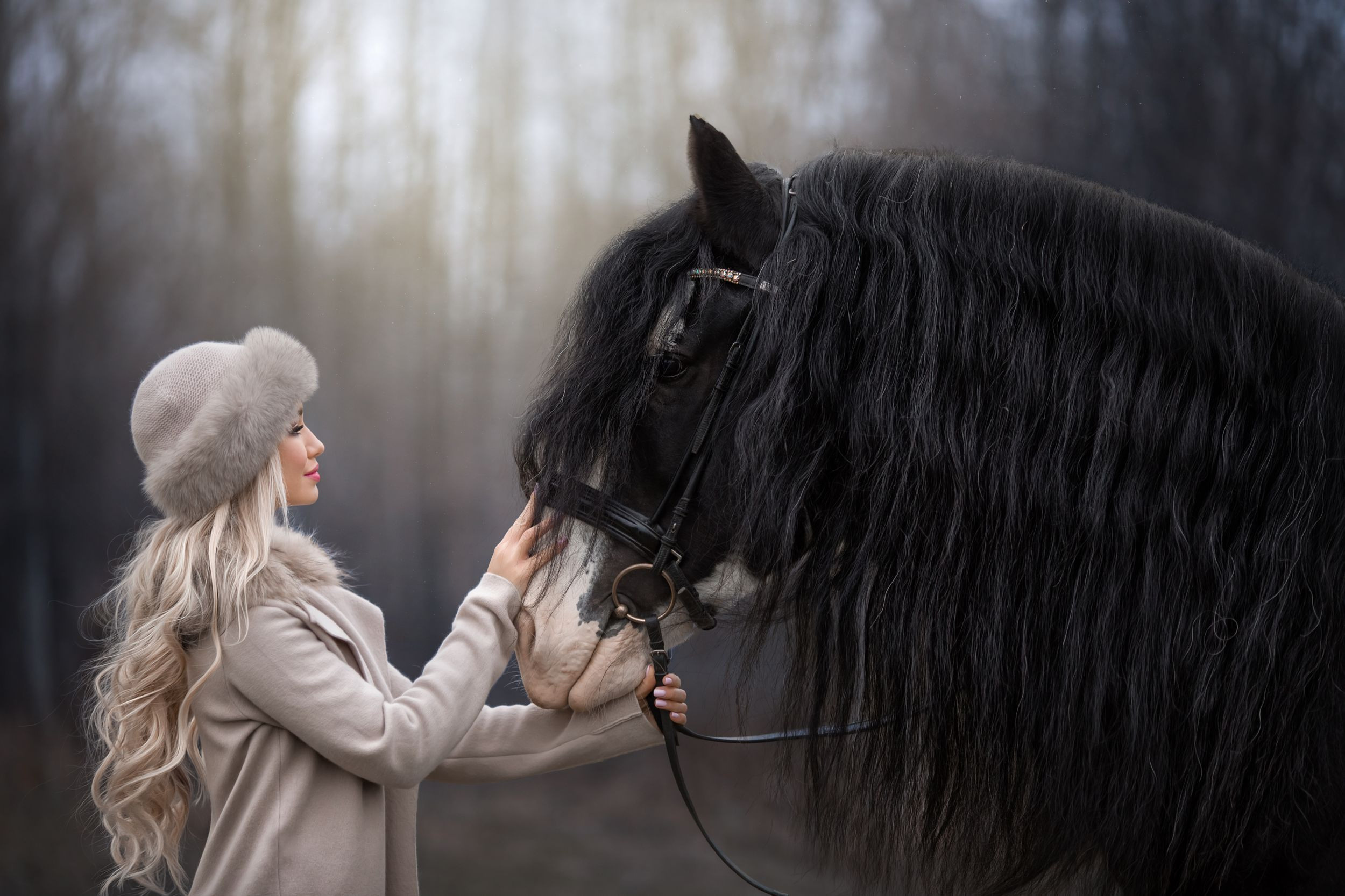 ФОТОСЕССИЯ С ЛОШАДЬМИ. Фотограф Москва