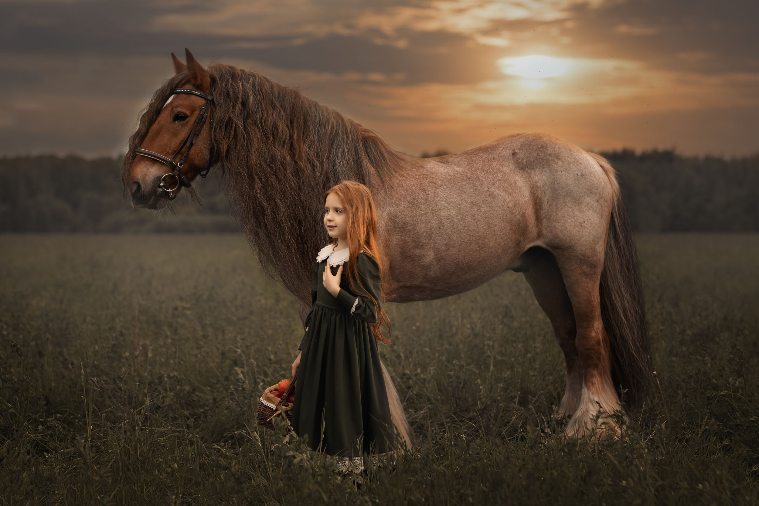 ФОТОСЕССИЯ С ЛОШАДЬМИ. Фотограф Москва