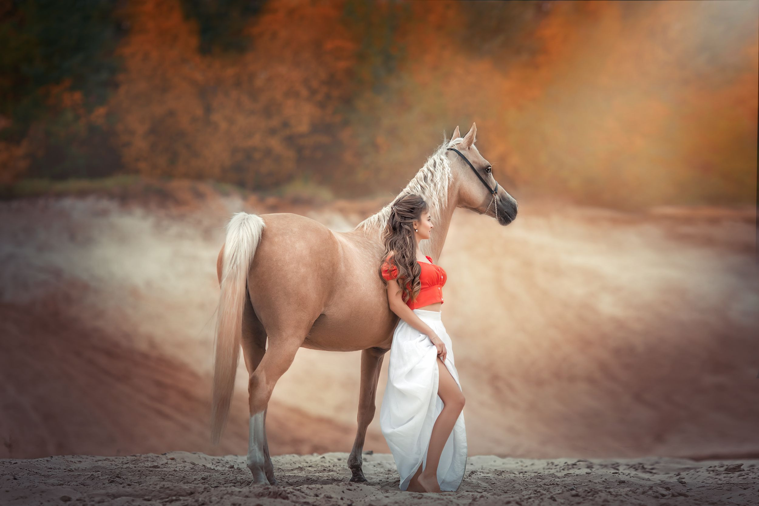 ФОТОСЕССИЯ С ЛОШАДЬМИ. Фотограф Москва