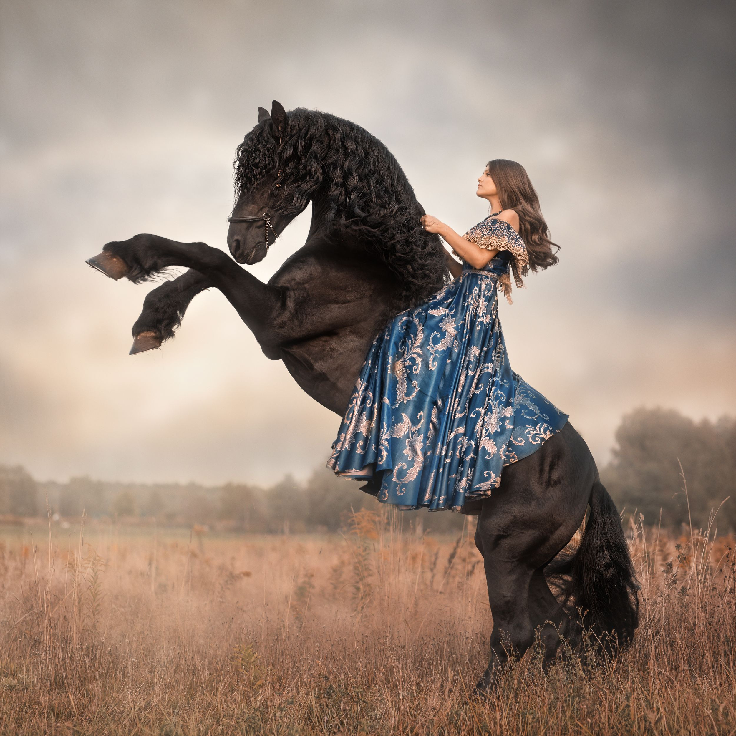 ФОТОСЕССИЯ С ЛОШАДЬМИ. Фотограф Москва
