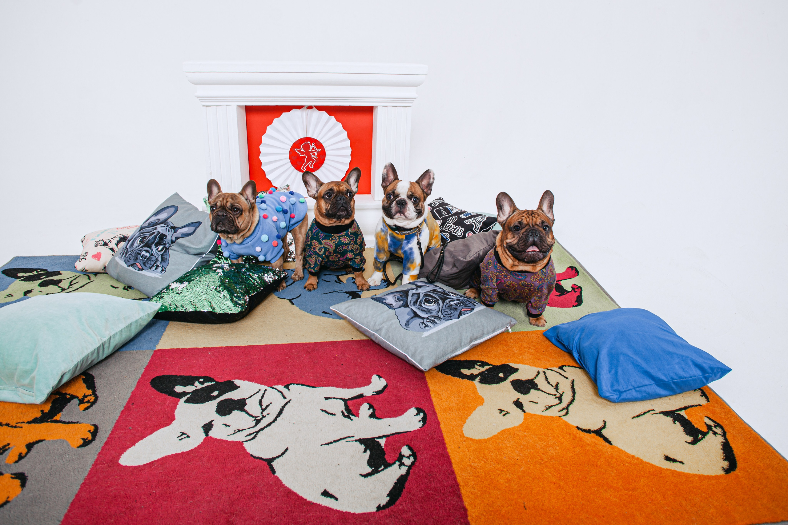 Пижамная вечеринка французских бульдогов и их хозяев. Фотограф-анималист Татьяна Степанова