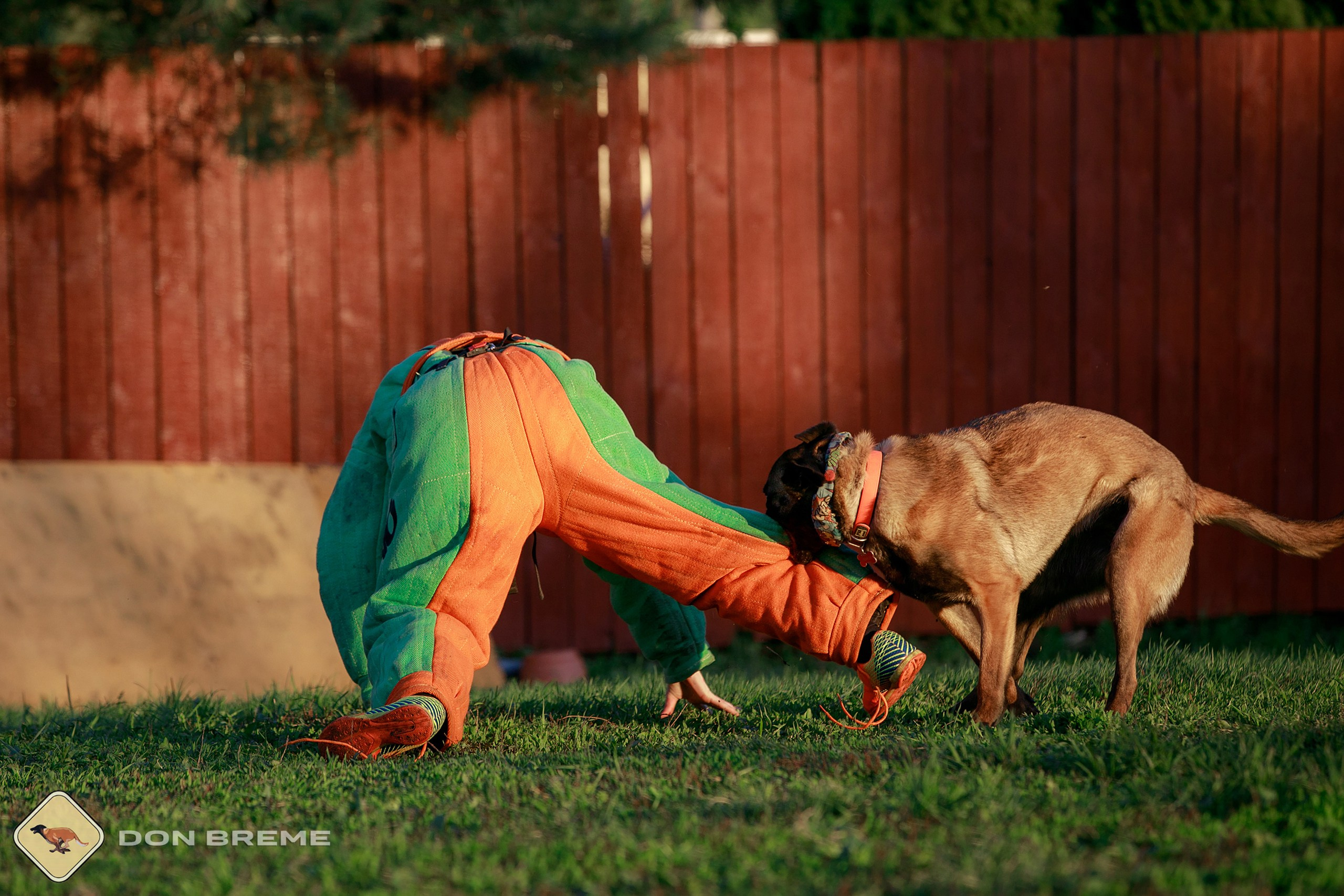 Семинар для фигурантов, день 3. Фотограф-анималист Mary Mart — Москва, Питер
