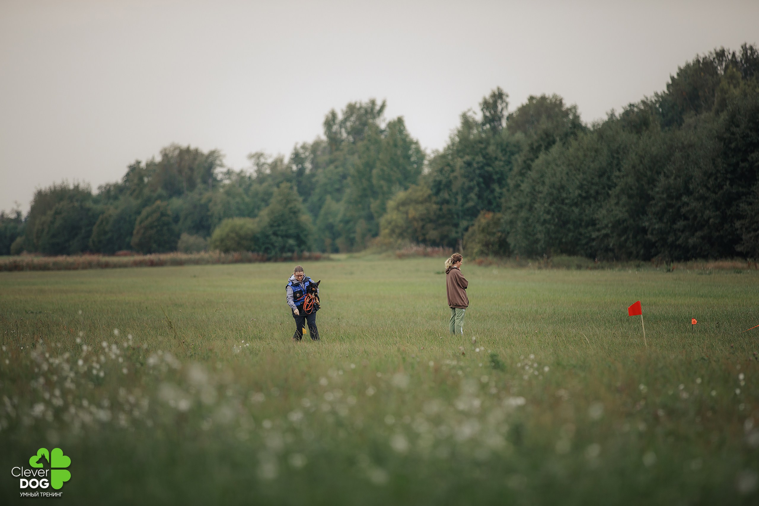 Кинологический лагерь CleverDog, 2024. Фотограф-анималист Mary Mart — Москва, Питер