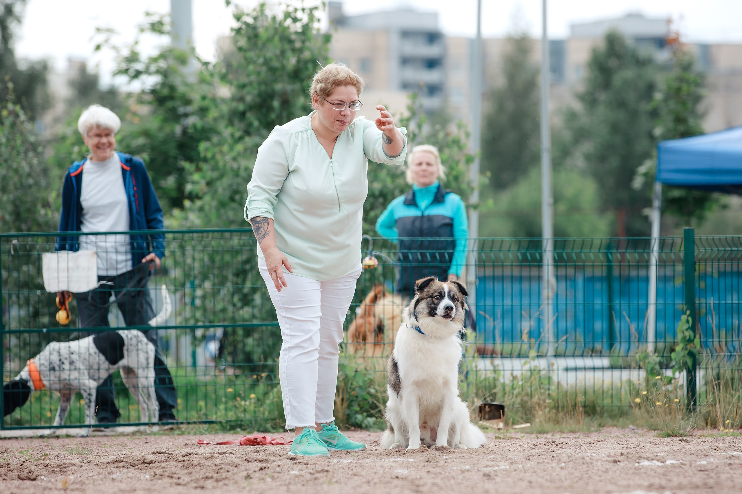 Питч&Гоу + веселые старты. Фотограф-анималист Mary Mart — Москва, Питер
