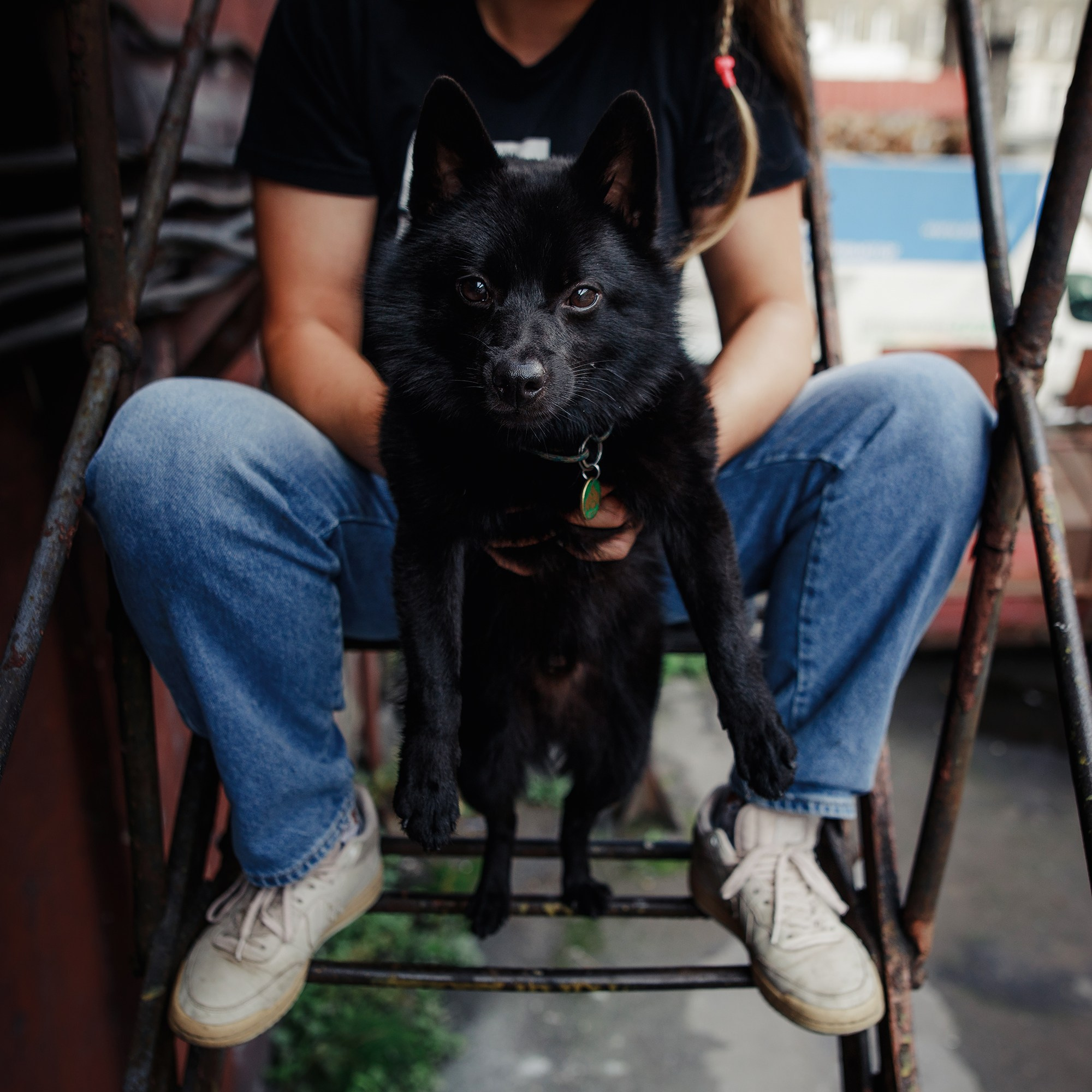 Саша, Маша и шипперке Йети. Фотограф-анималист Mary Mart — Москва, Питер