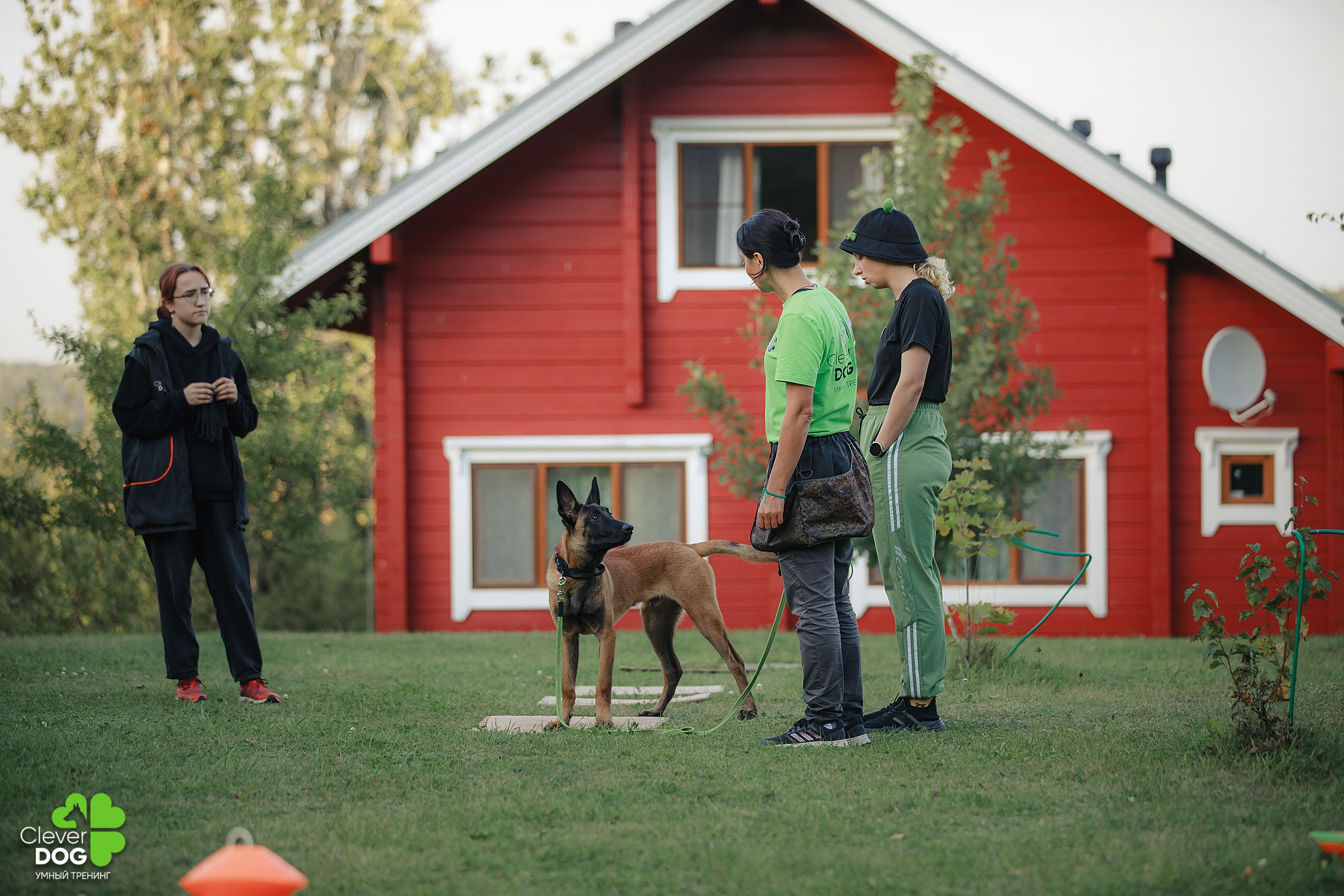Кинологический лагерь CleverDog, 2024. Фотограф-анималист Mary Mart — Москва, Питер