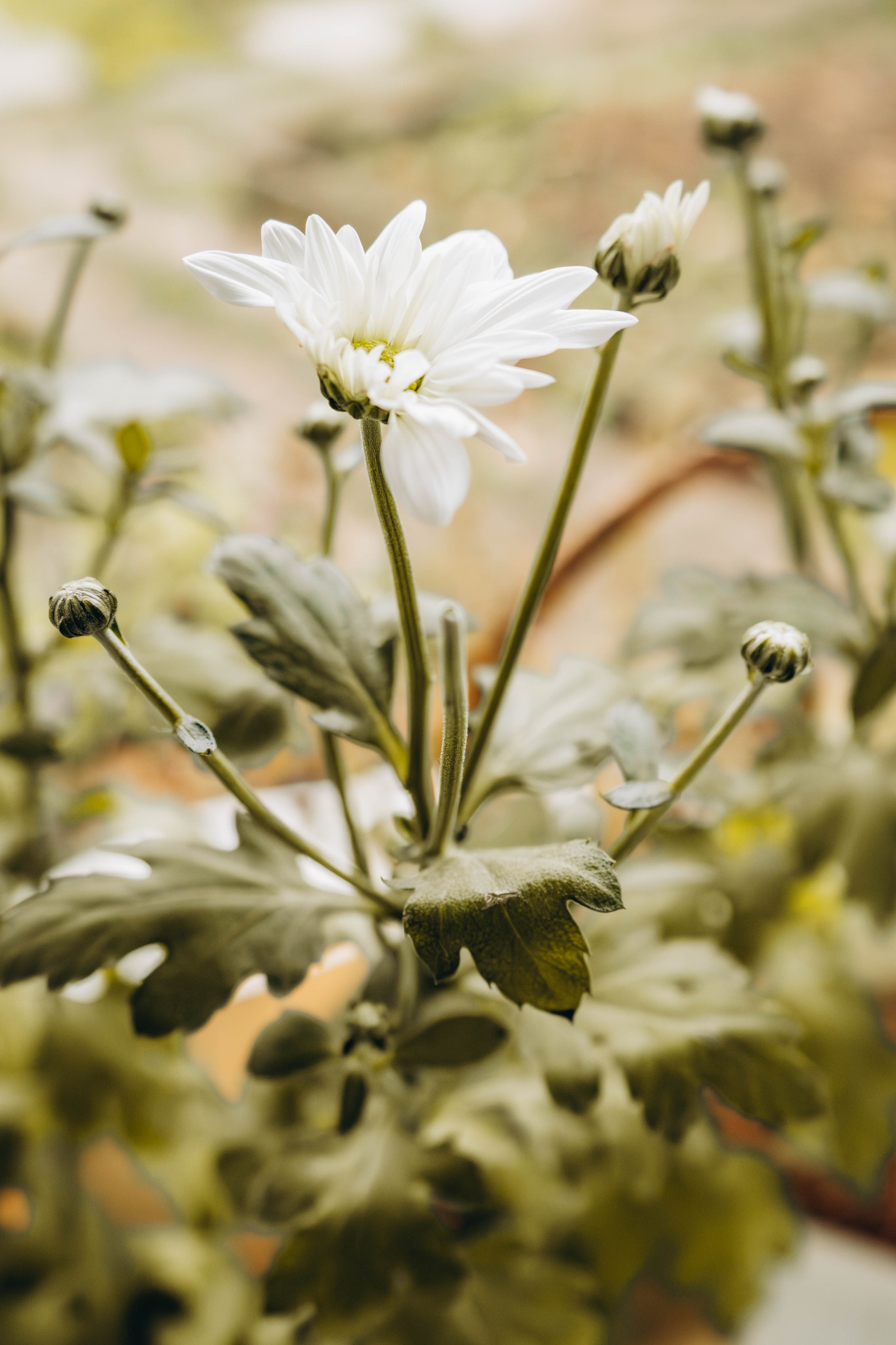 Съемка студии «Аж уютно». Фотограф Москва Валерия Веденина