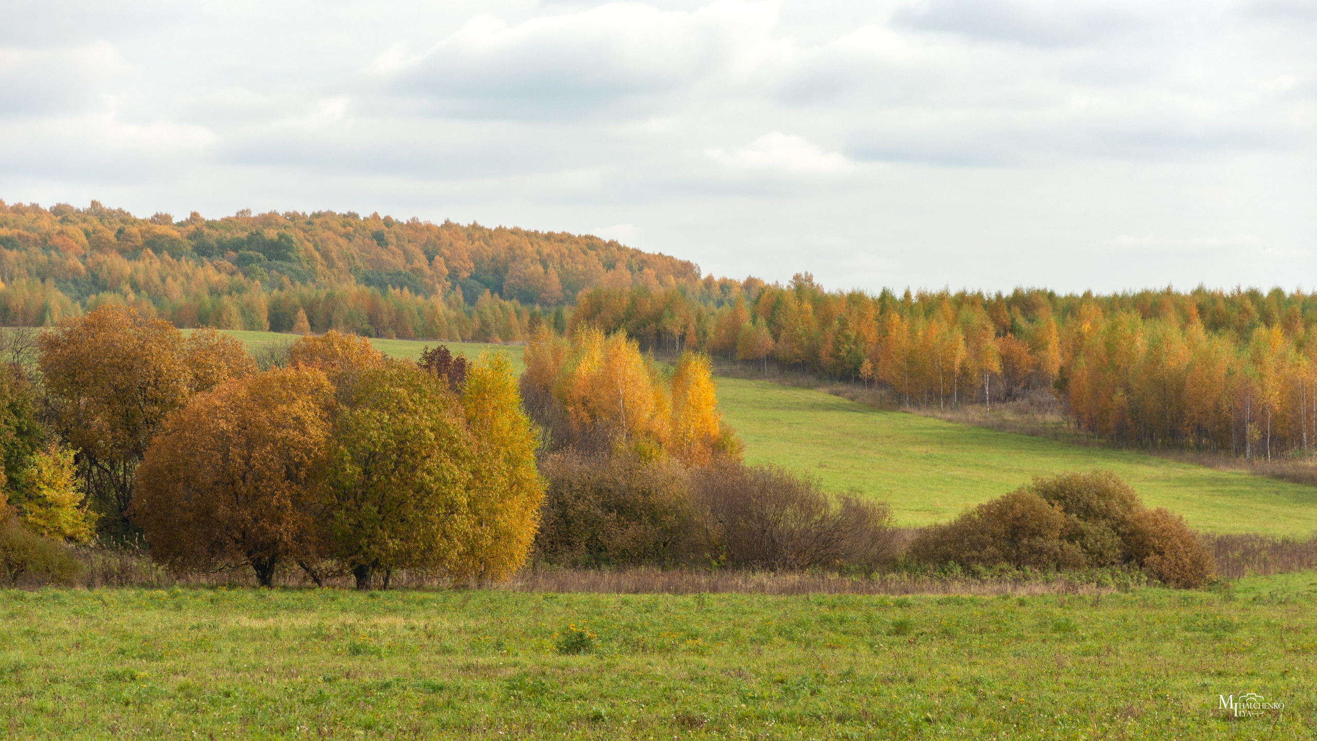 Пейзажи и архитектура. Портретная и репортажная съёмка