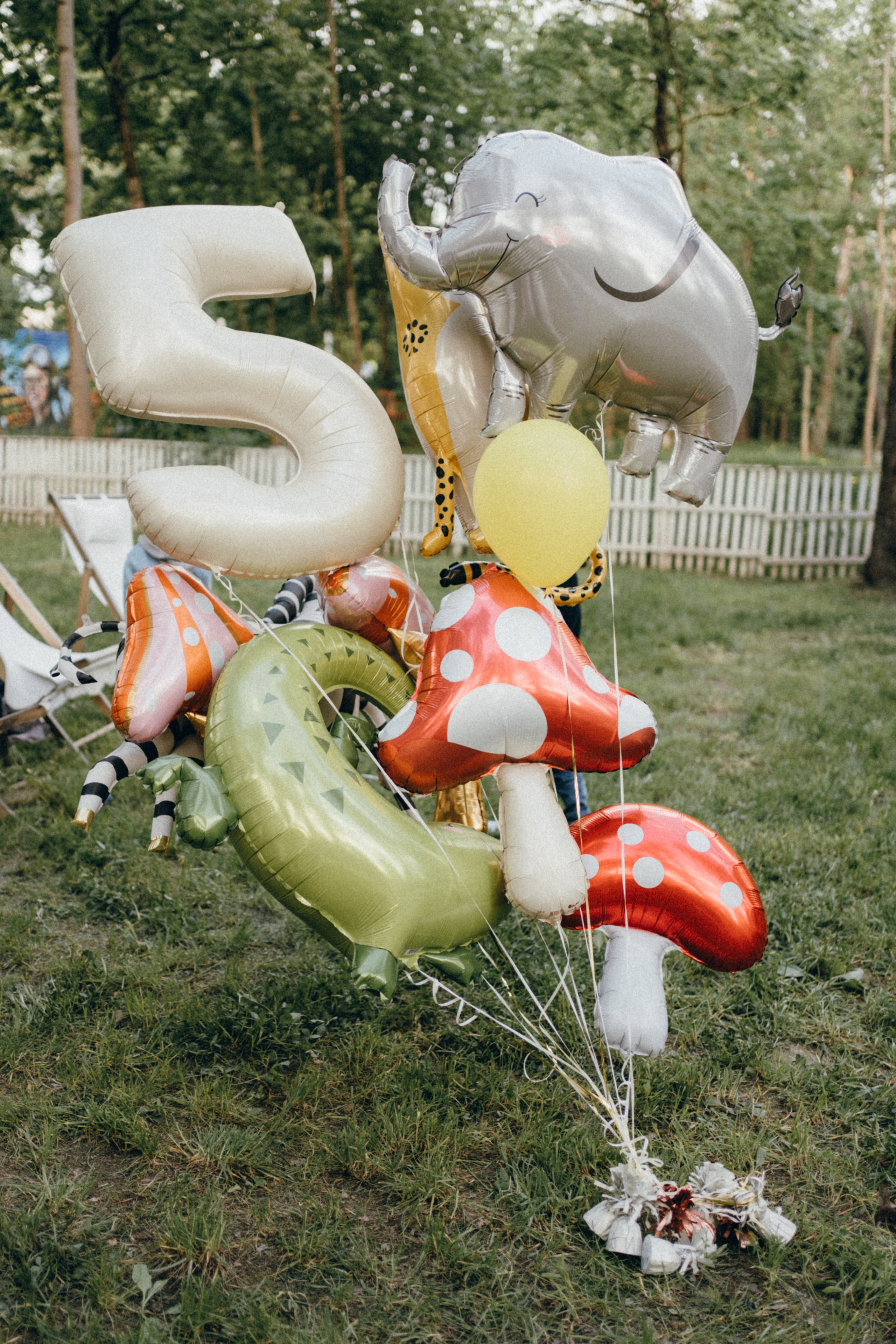 Марику 5!. Семейный и детский фотограф и видеограф в Москве, Серпухове и Тарусе Валерия Сорокина