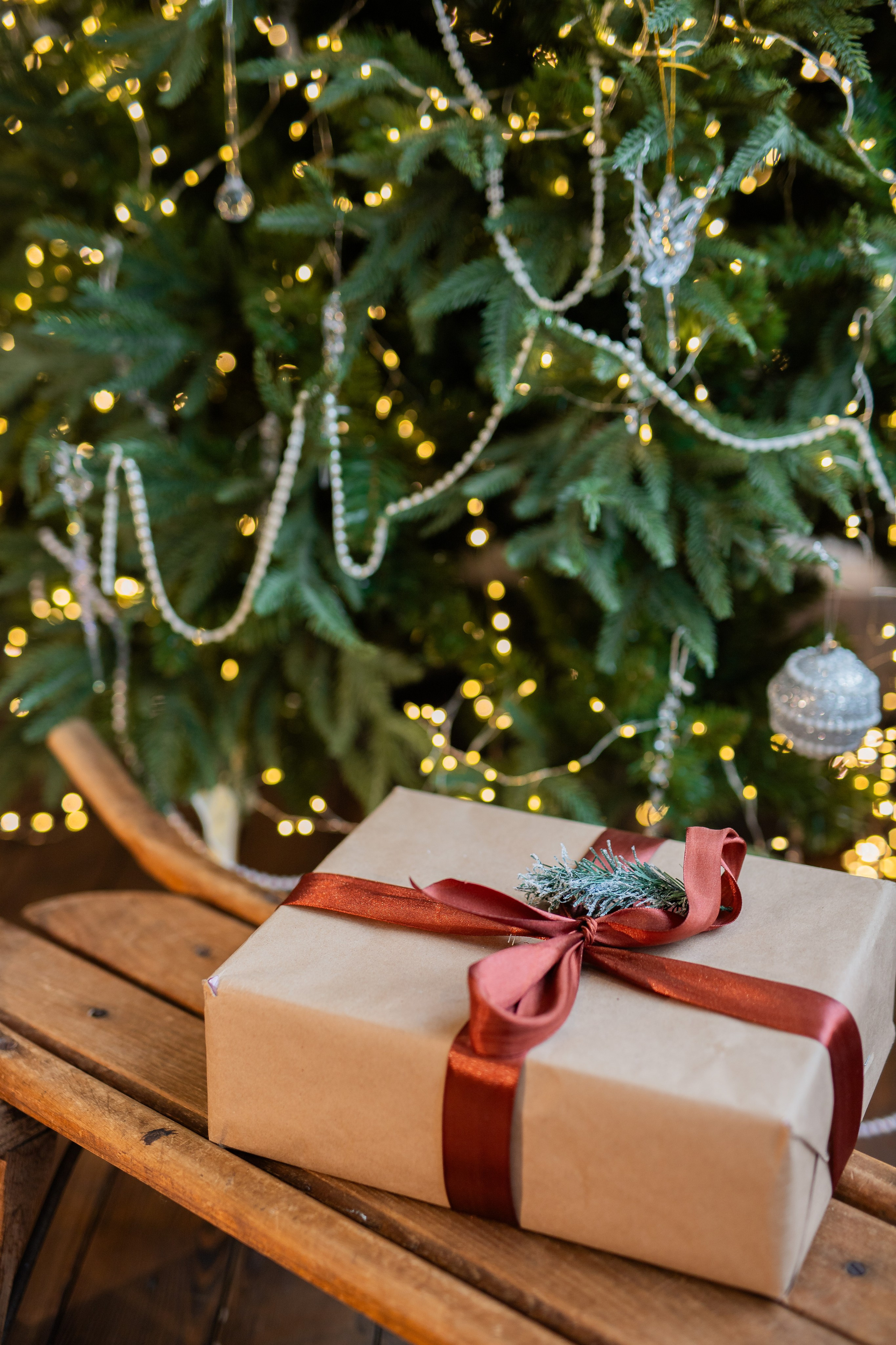 Новогодняя Семейная. Фотограф Анастасия Петрова