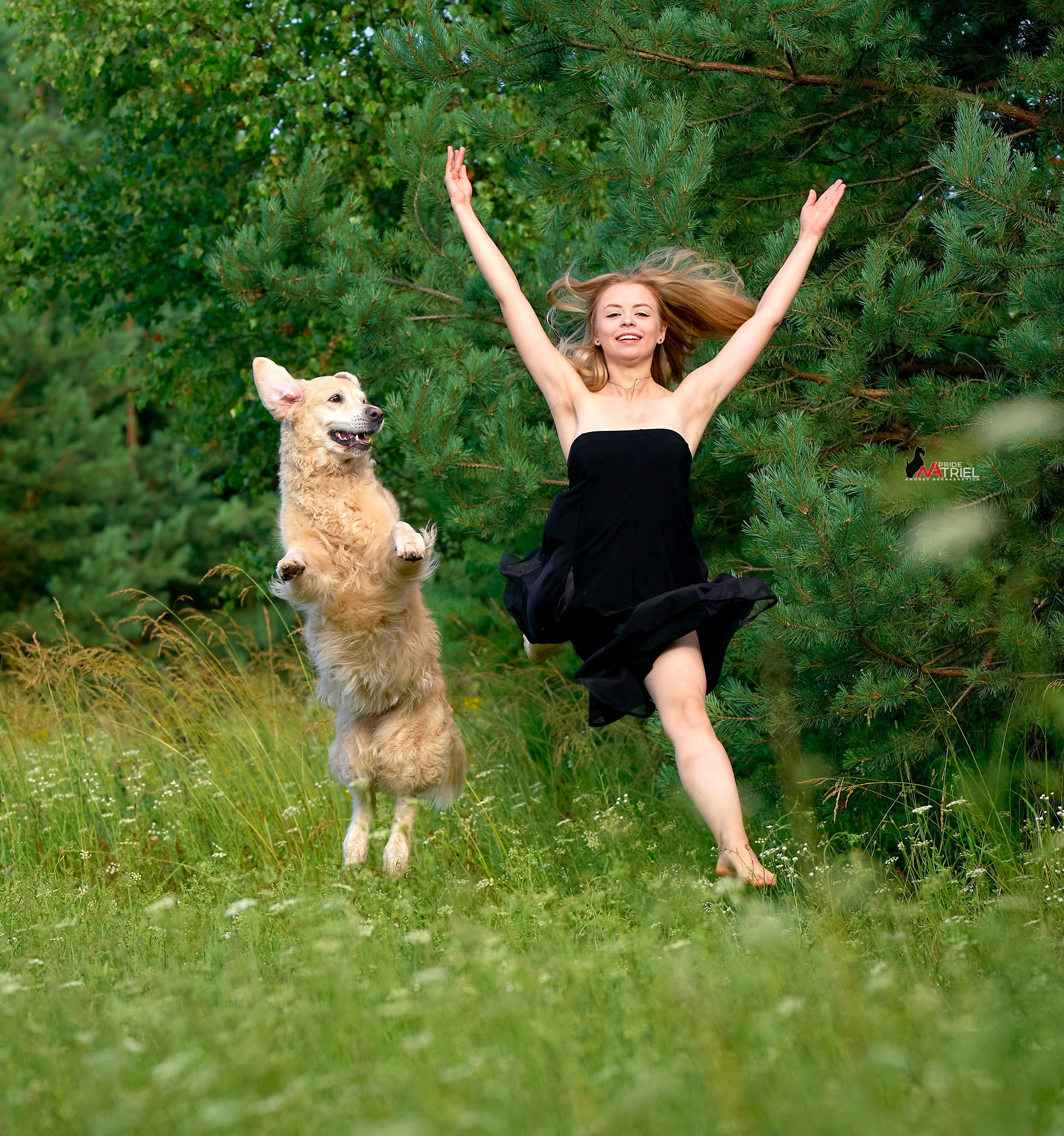 Обидиенс и танцы с собаками — галерея NATRIEL