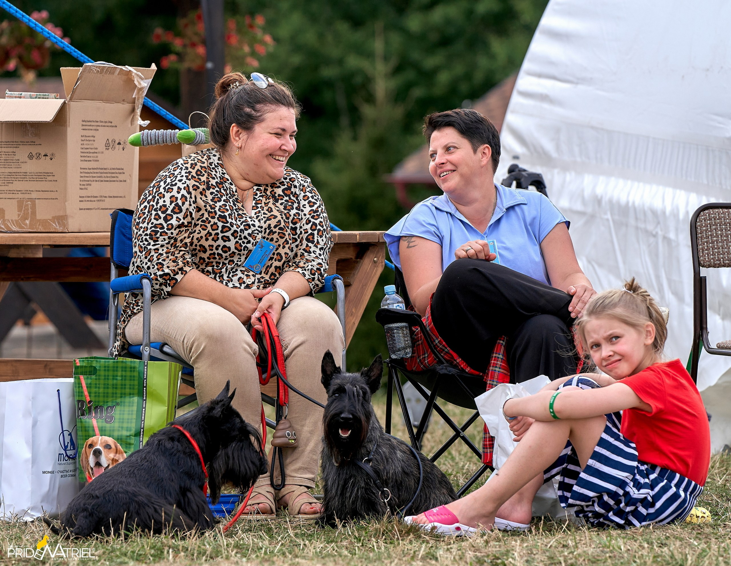 Мероприятия с собаками — галерея NATRIEL