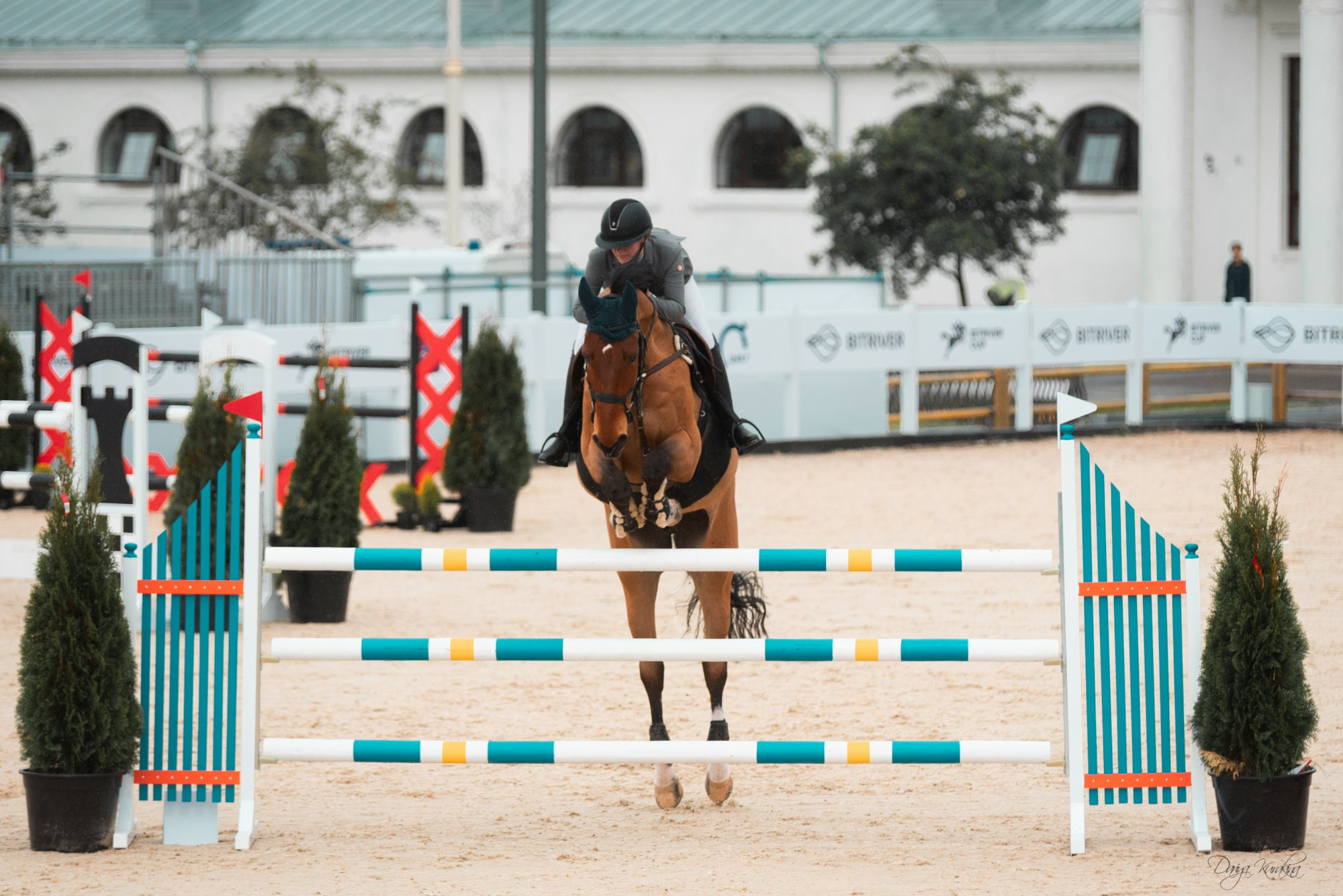 BITRIVER CUP 2023. Конный фотограф Куракина Дарья • Фотосессии с лошадьми