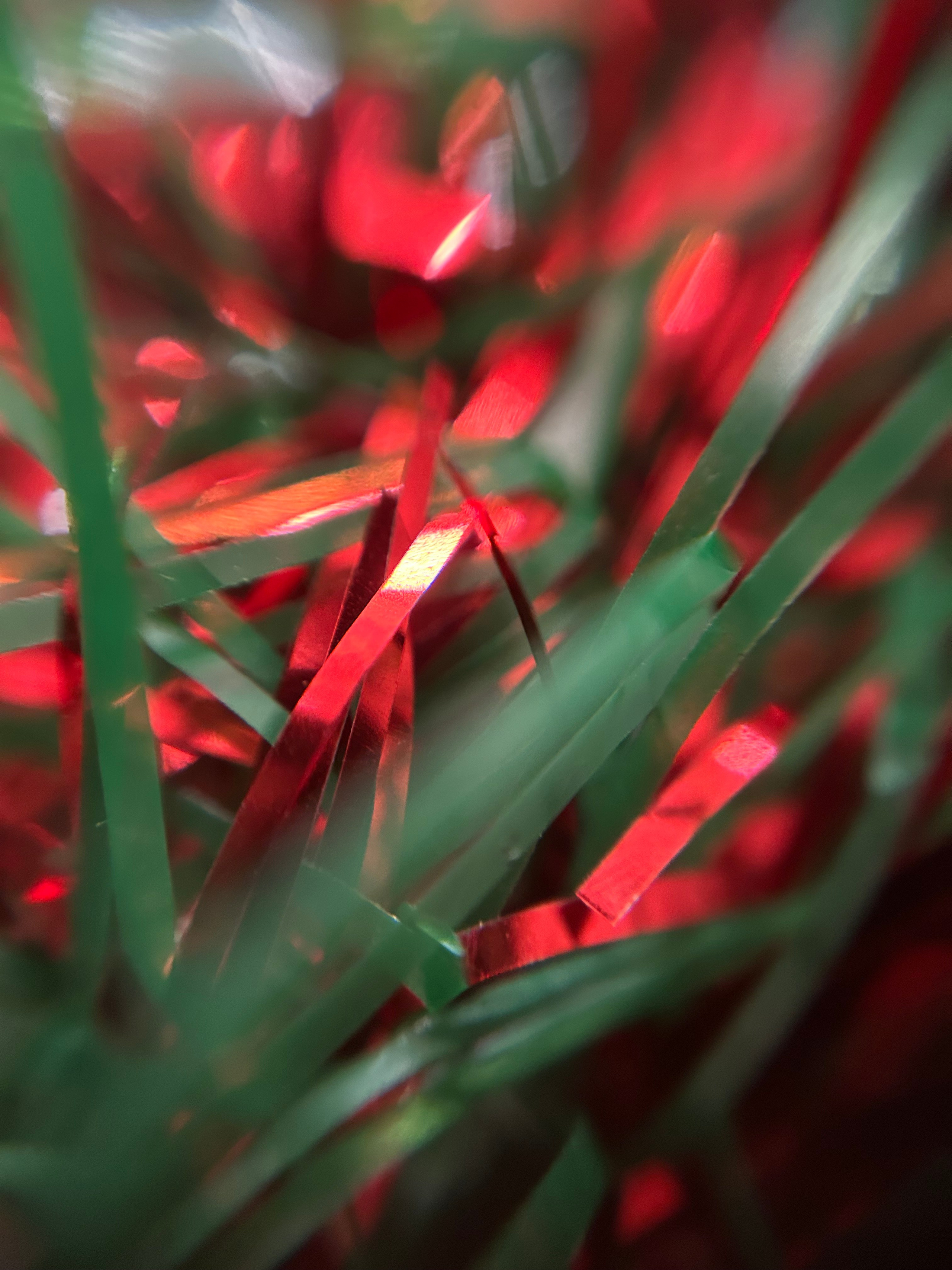 Макромир. Фотокружок «Видоискатель» ГБОУ СОШ № 291