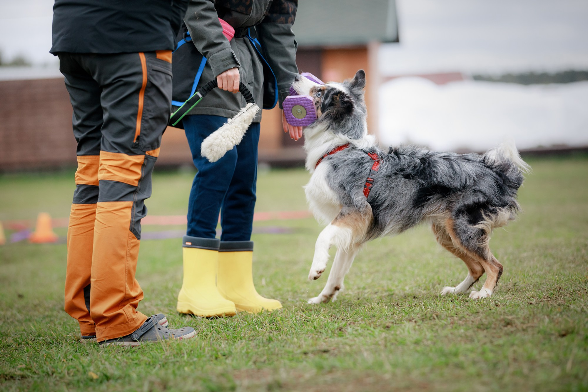 Лагерь по ОБД с Инной Баженовой. Фотограф-анималист Mary Mart — Москва, Питер