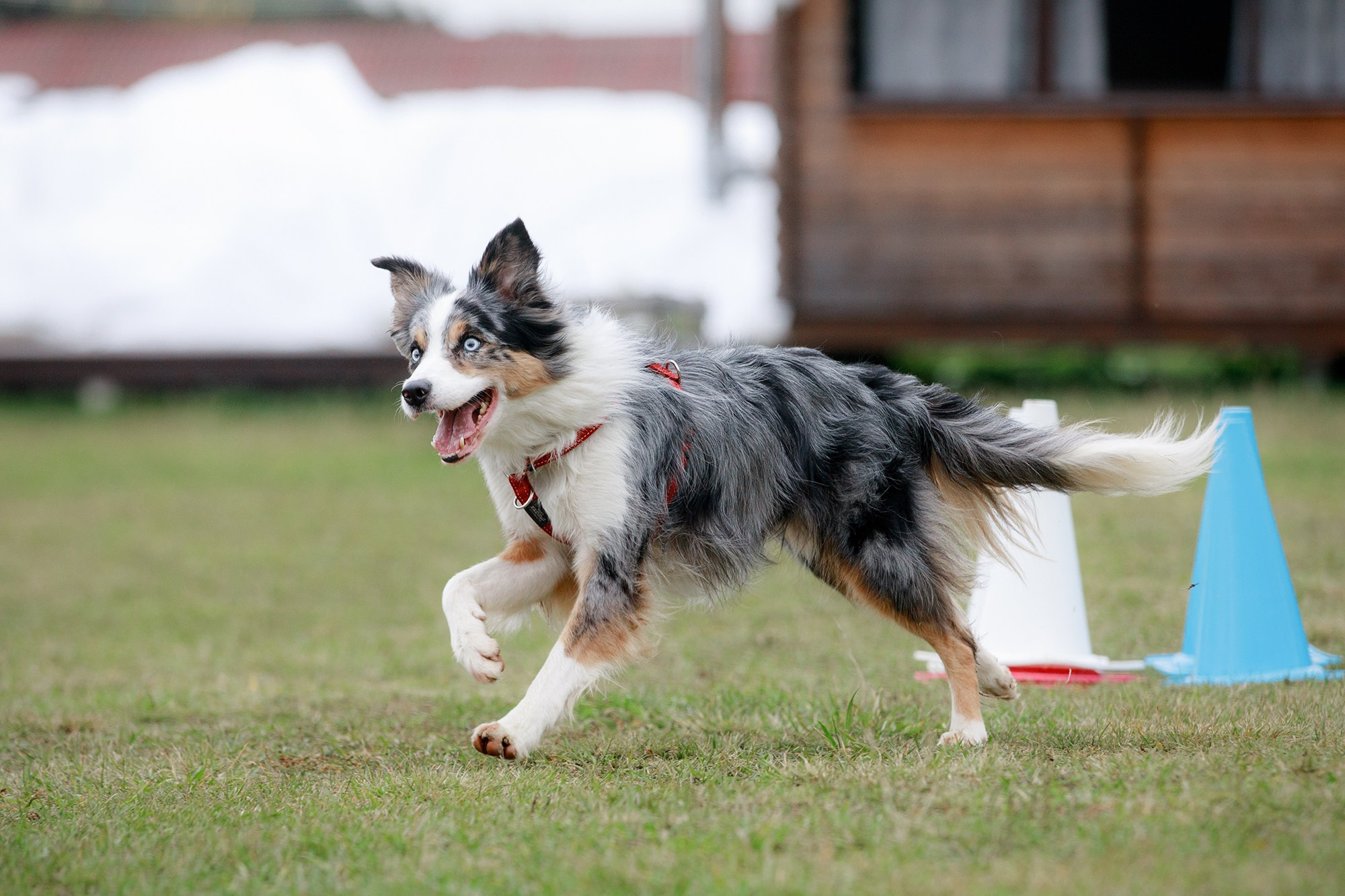 Лагерь по ОБД с Инной Баженовой. Фотограф-анималист Mary Mart — Москва, Питер