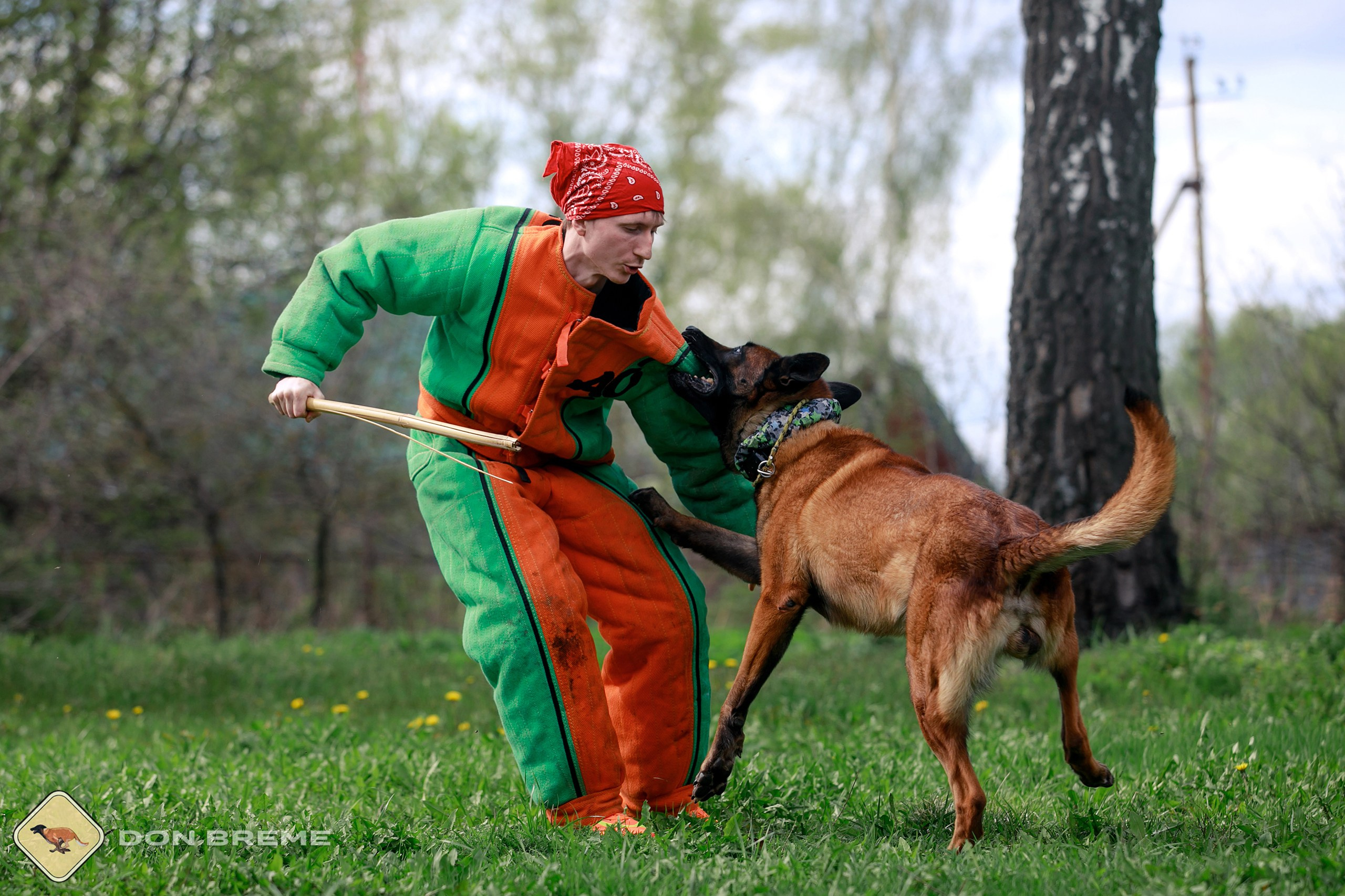 Семинар для фигурантов, день 2. Фотограф-анималист Mary Mart — Москва, Питер