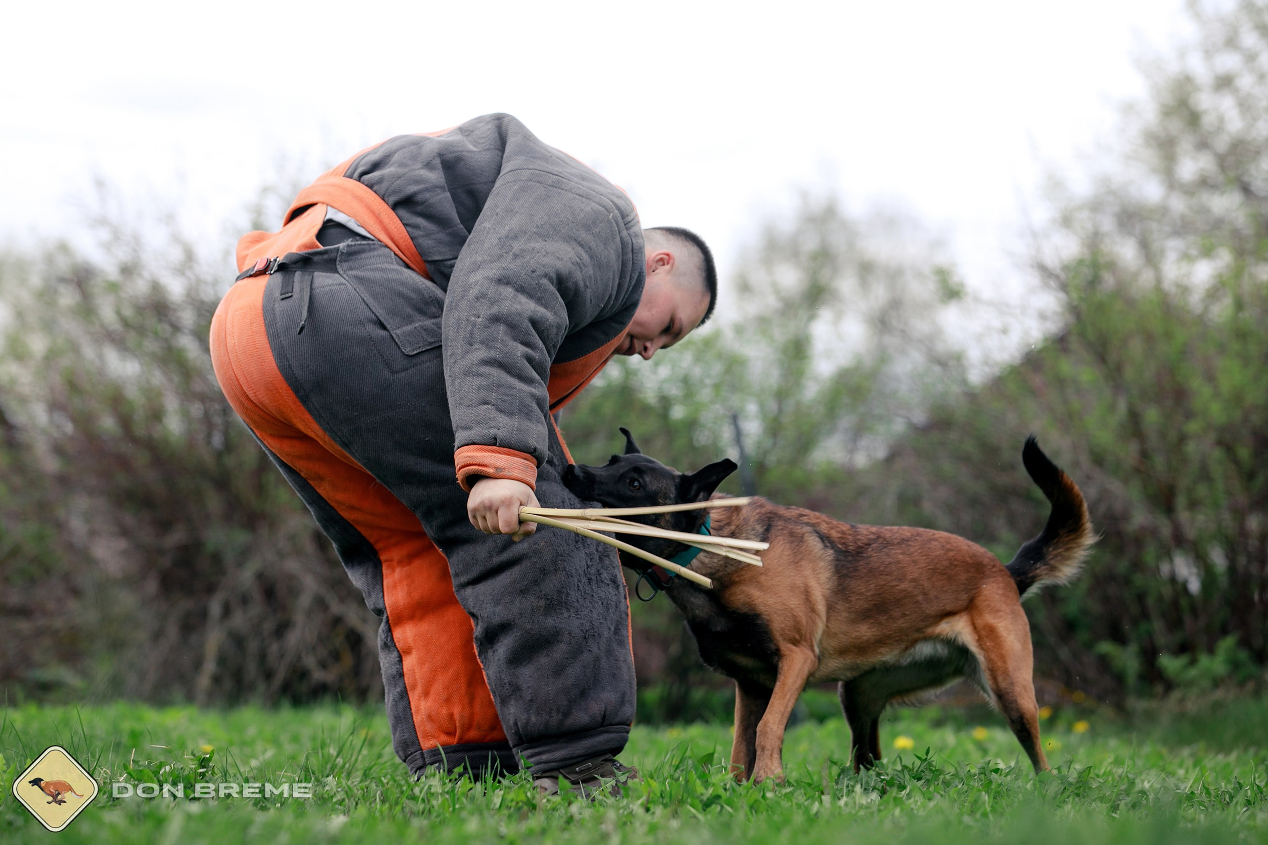 Семинар для фигурантов, день 2. Фотограф-анималист Mary Mart — Москва, Питер