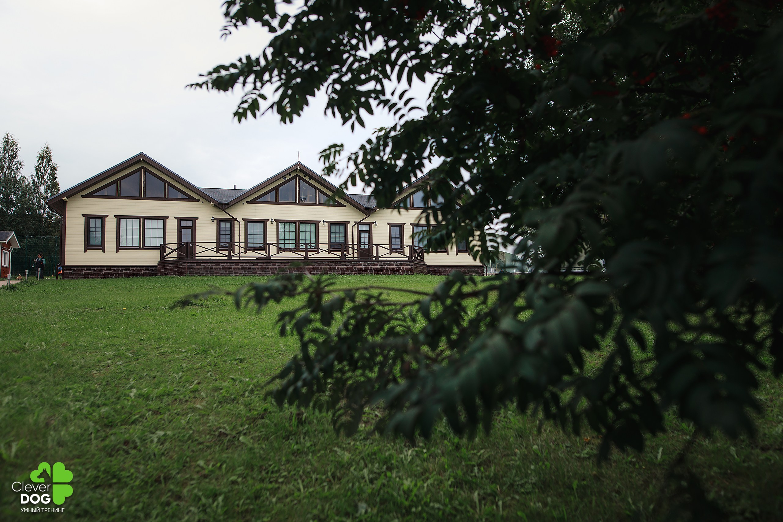 Кинологический лагерь CleverDog, 2024. Фотограф-анималист Mary Mart — Москва, Питер