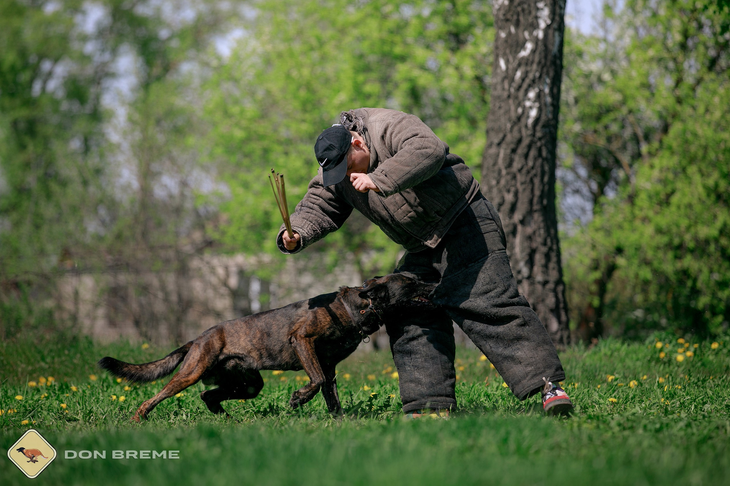 Семинар для фигурантов, день 4. Фотограф-анималист Mary Mart — Москва, Питер