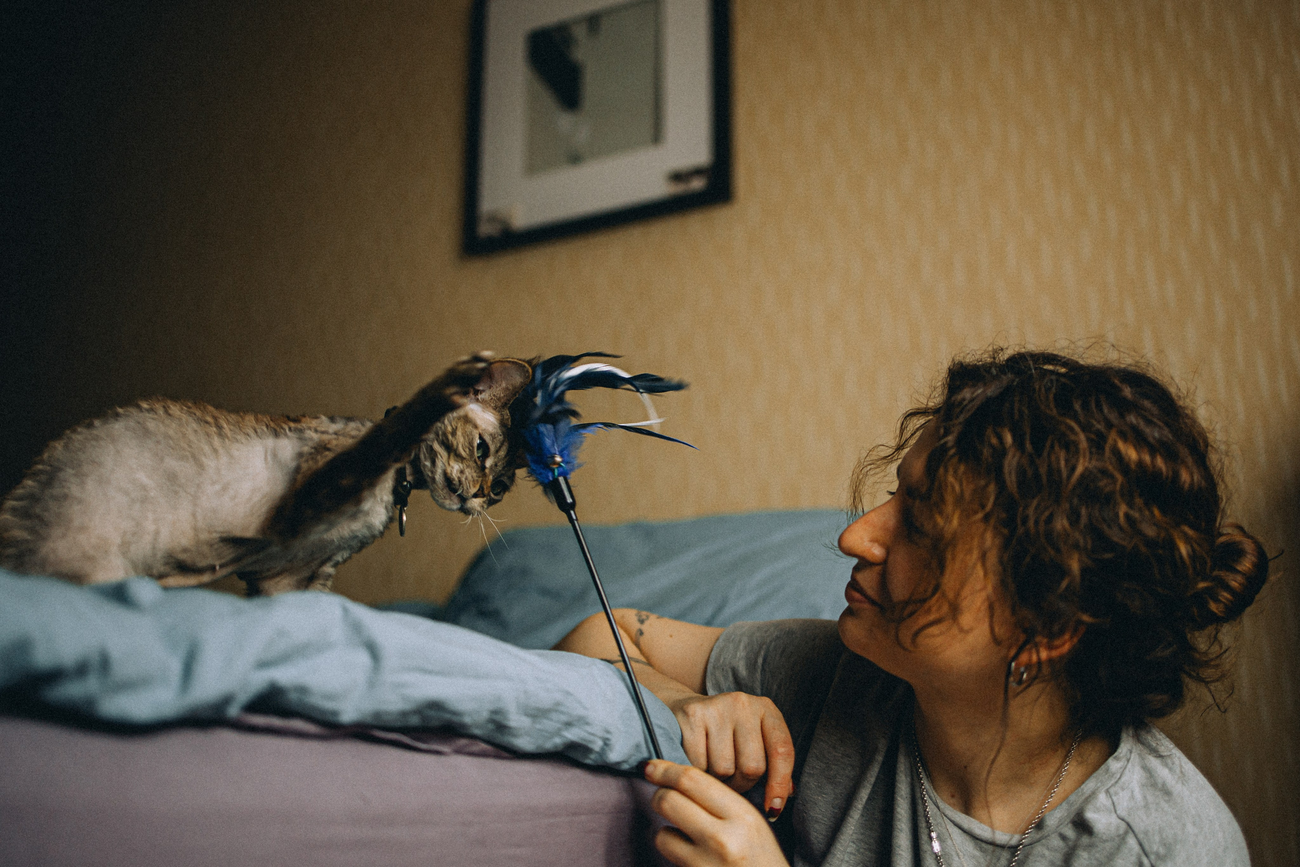 Гречка, Ковш и их семья